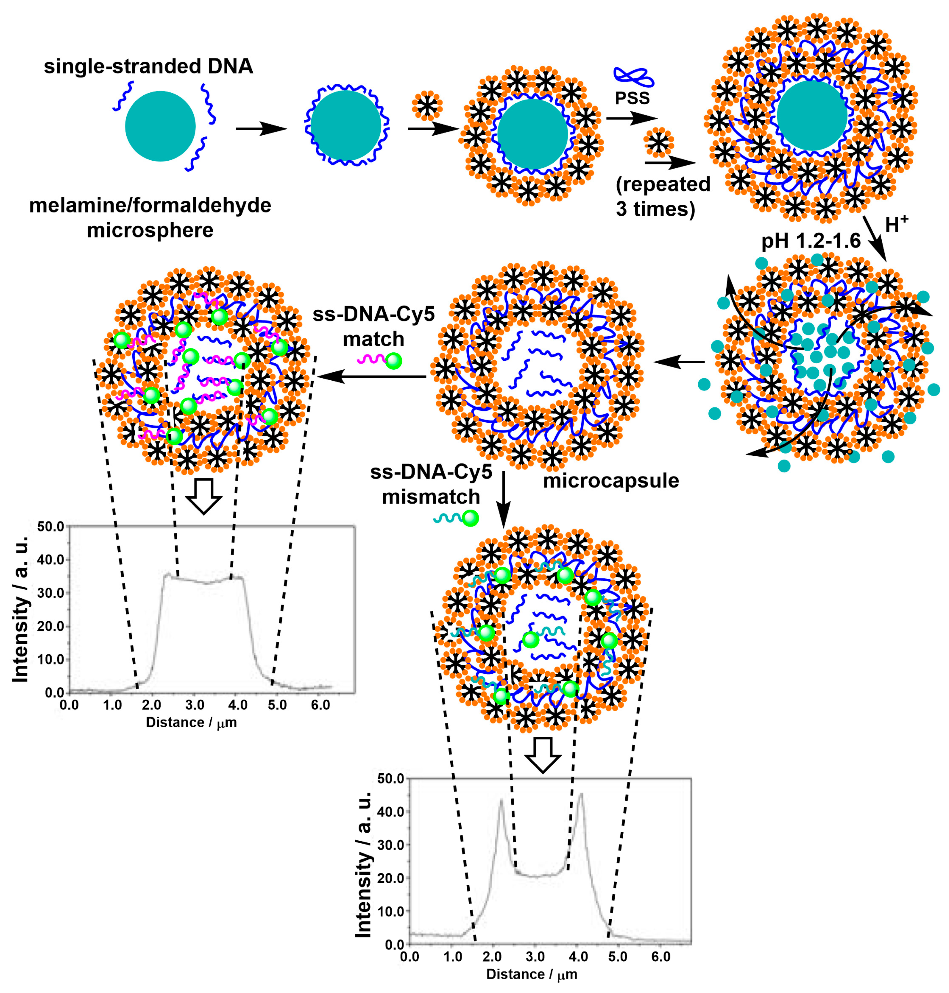 Polymers 17 01591 g015