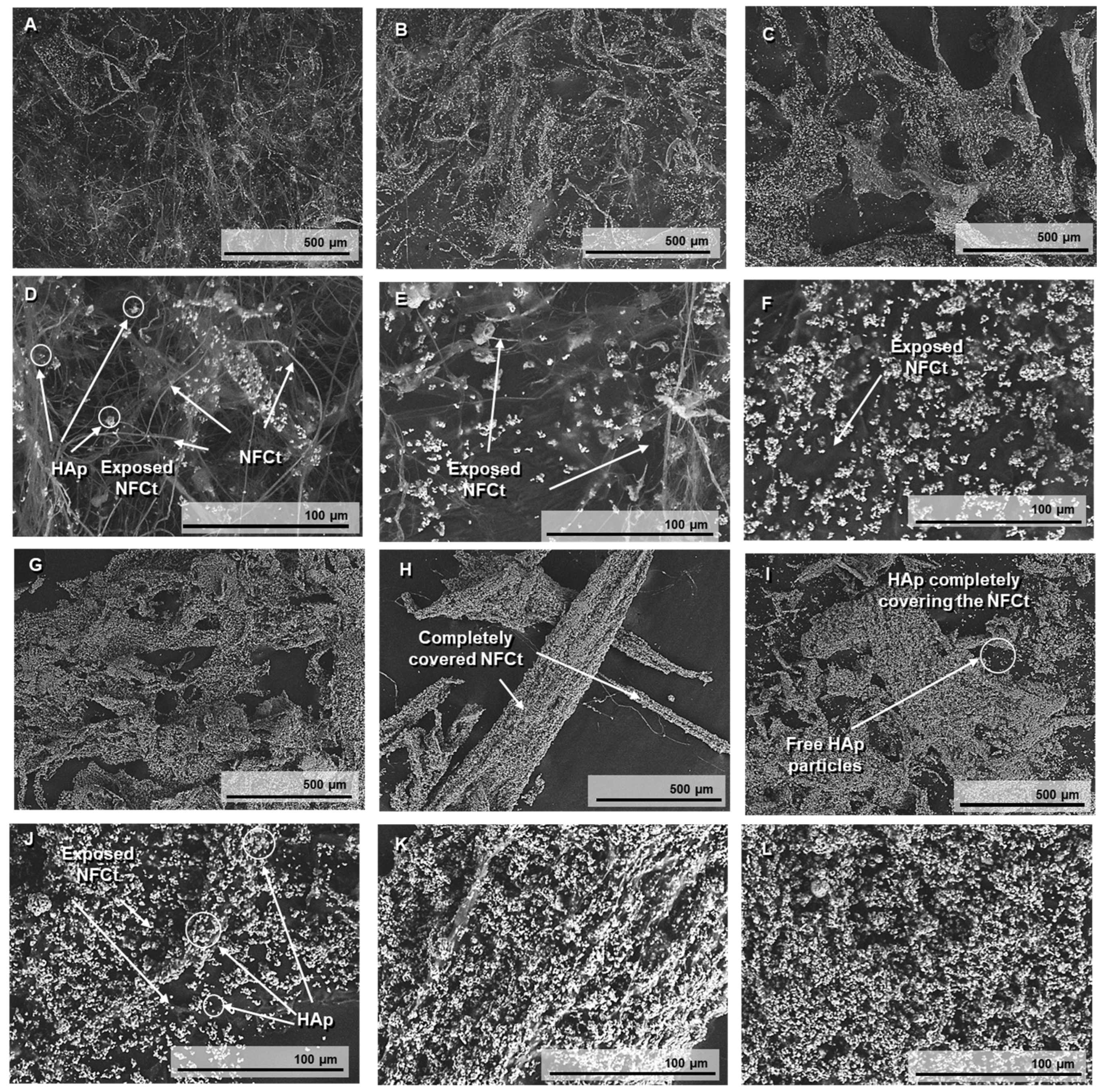 Polymers 17 01595 g003