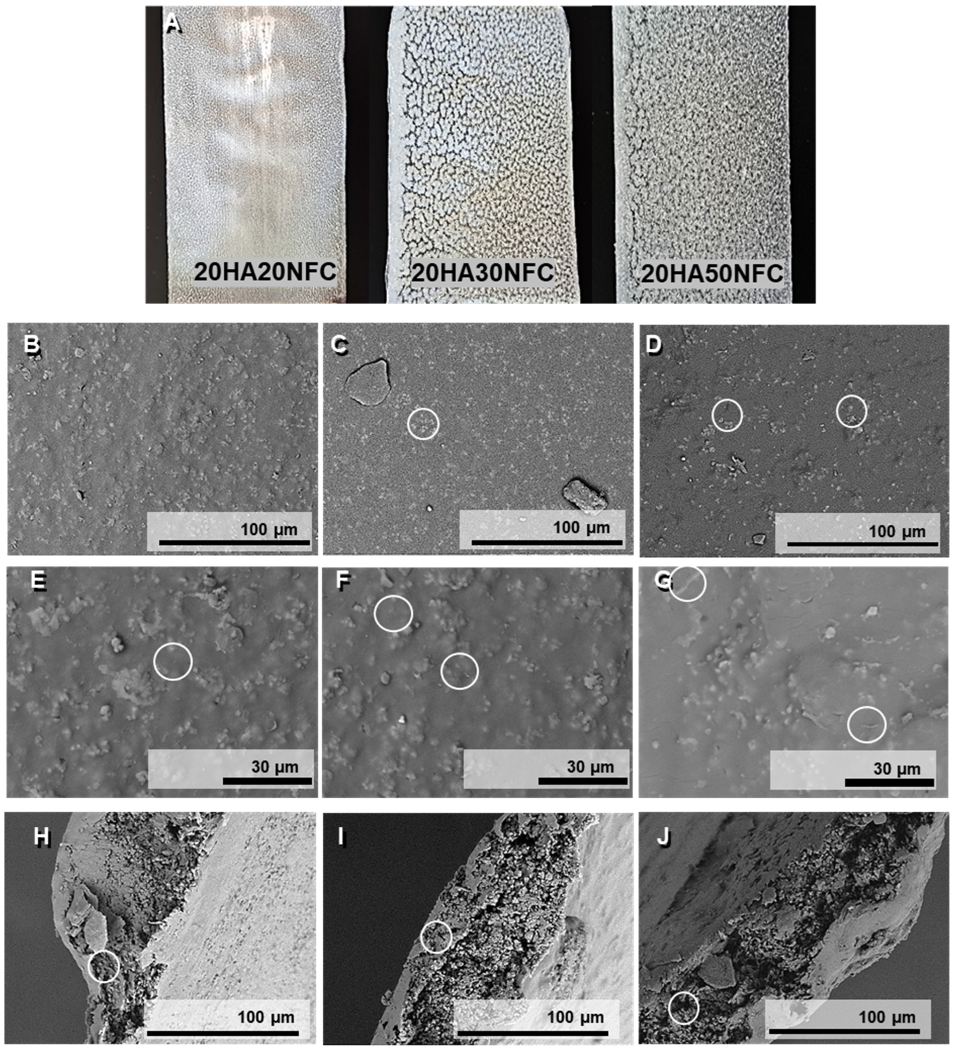 Polymers 17 01595 g007