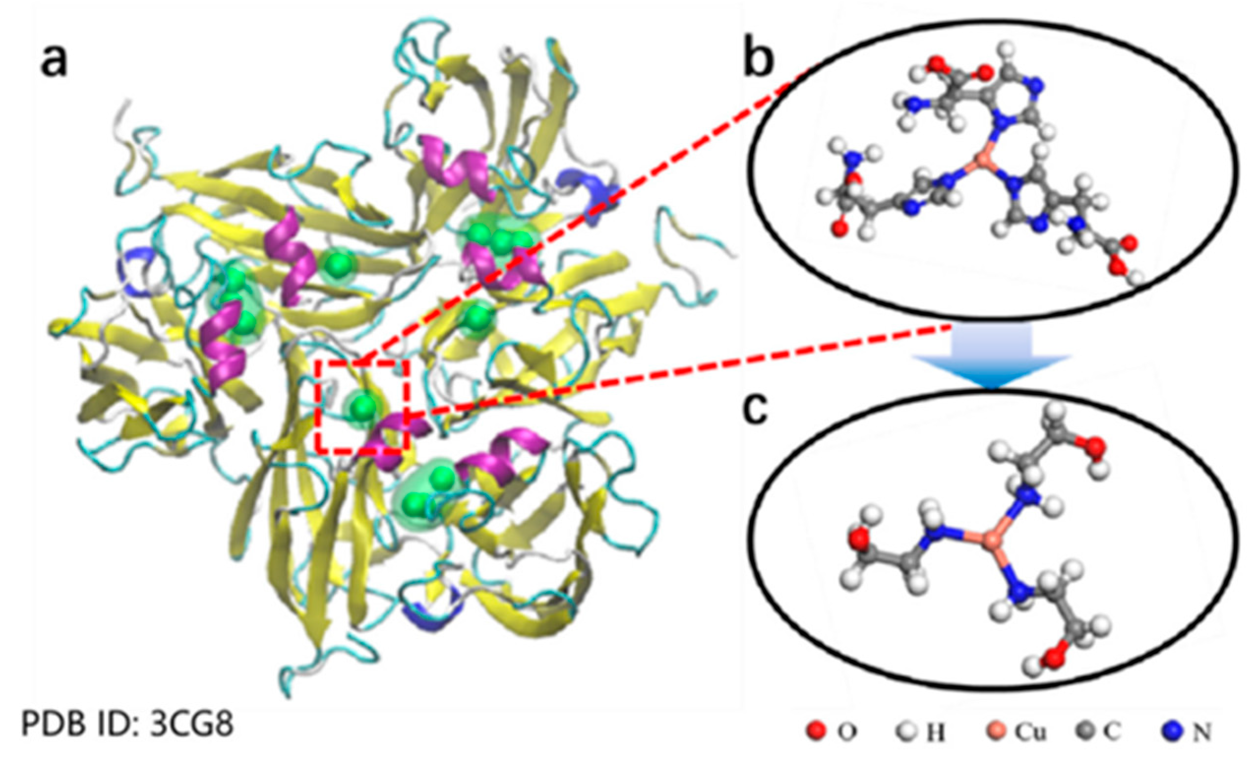 Polymers 17 01596 g004