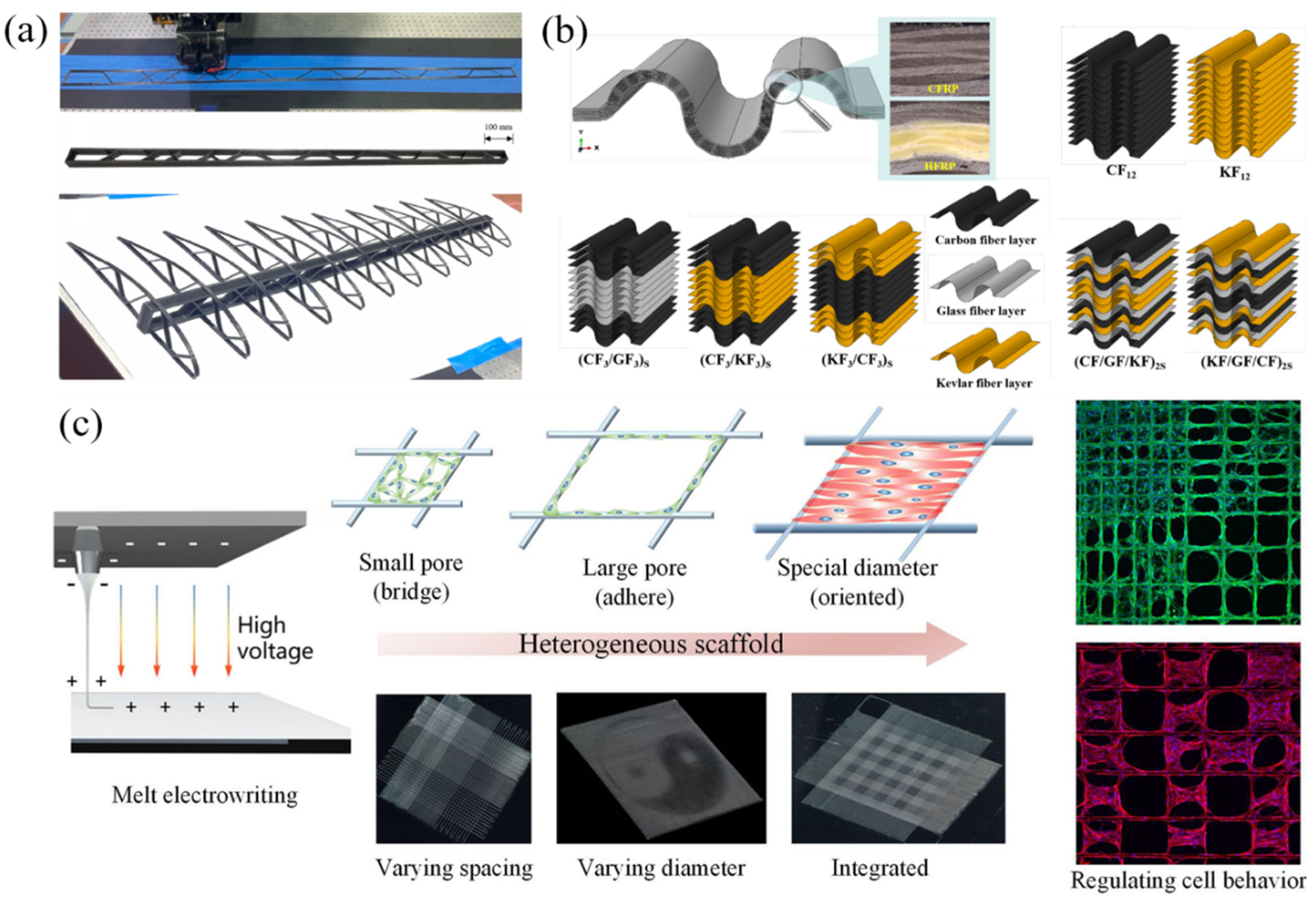 Polymers 17 01601 g005