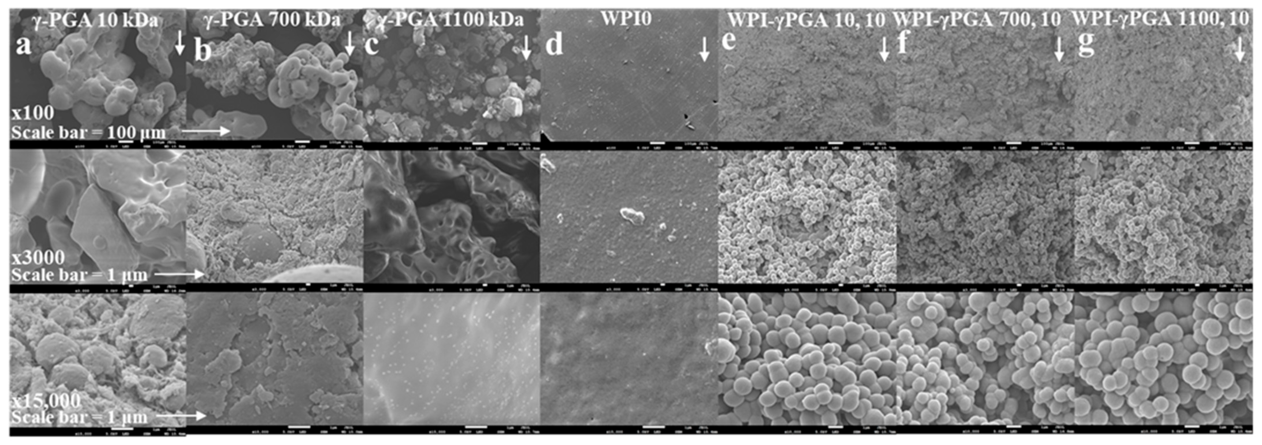 Polymers 17 01605 g002