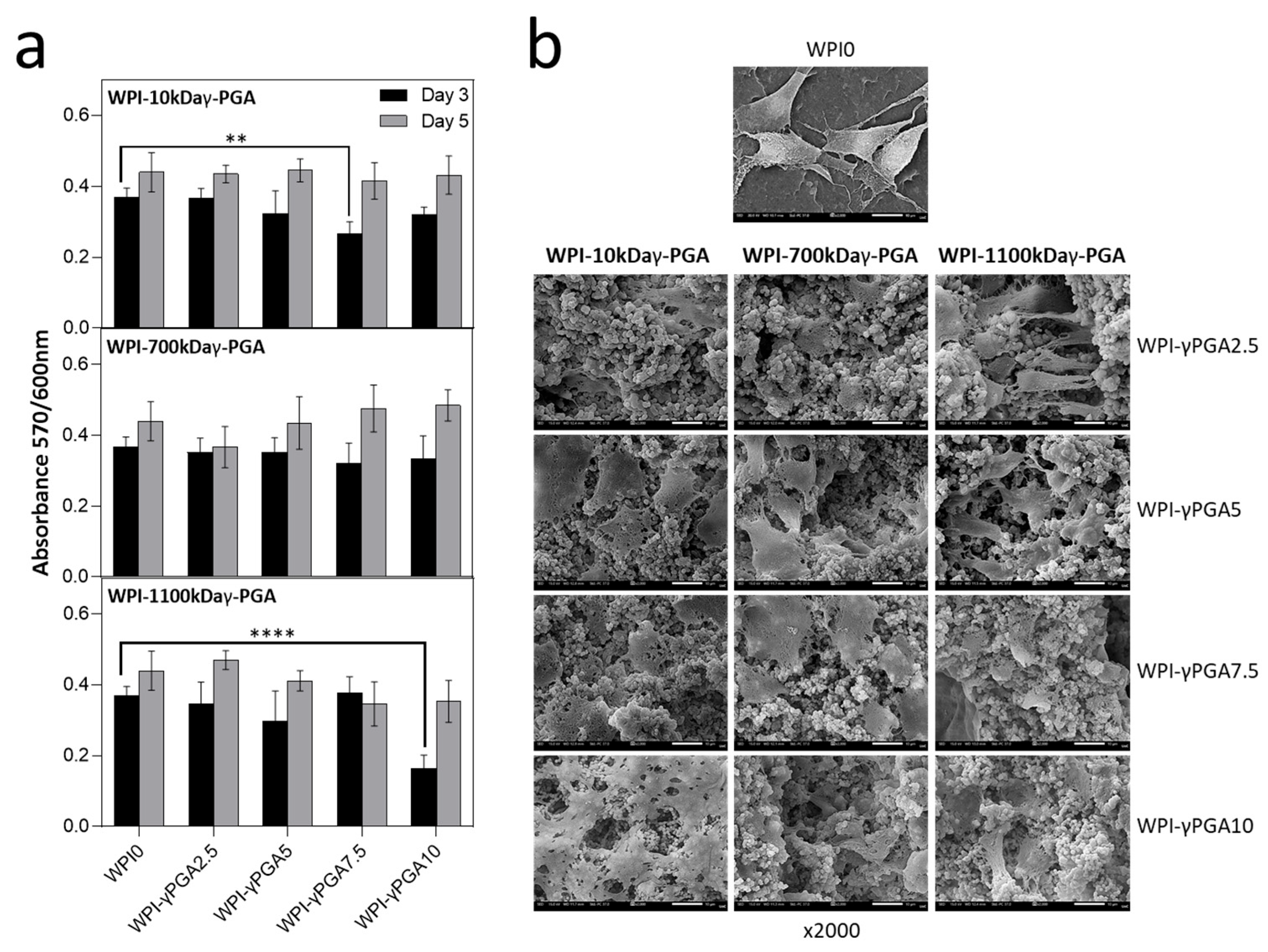 Polymers 17 01605 g008