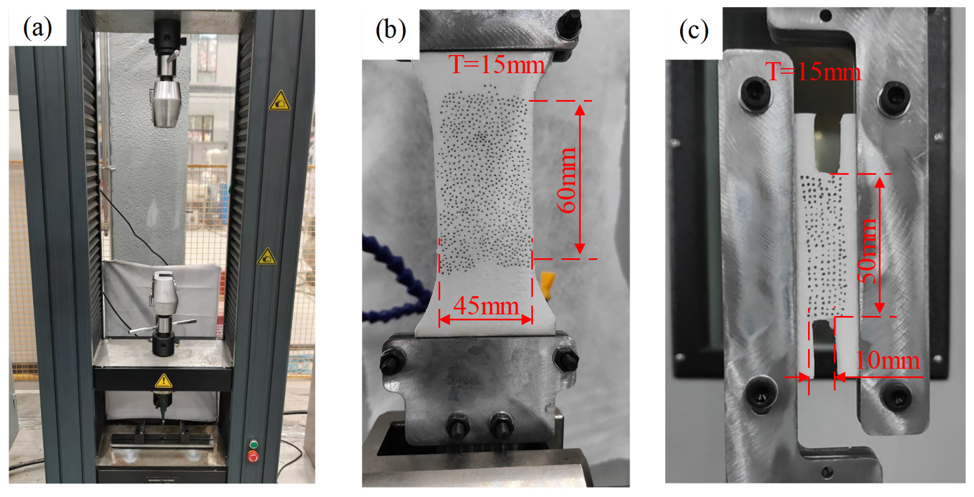 Polymers 17 01606 g006
