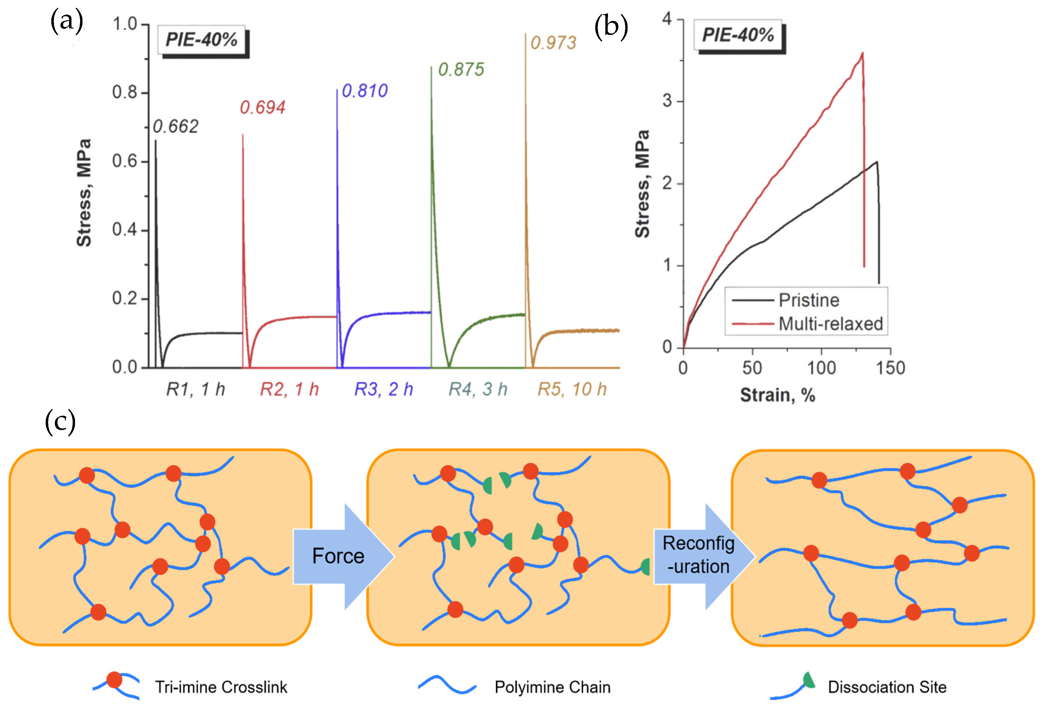 Polymers 17 01607 g008