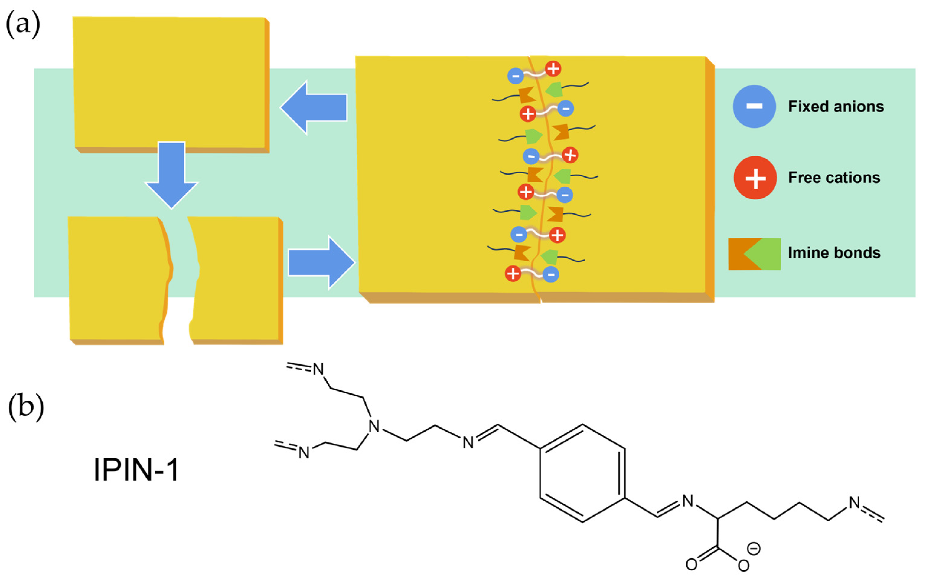 Polymers 17 01607 g010