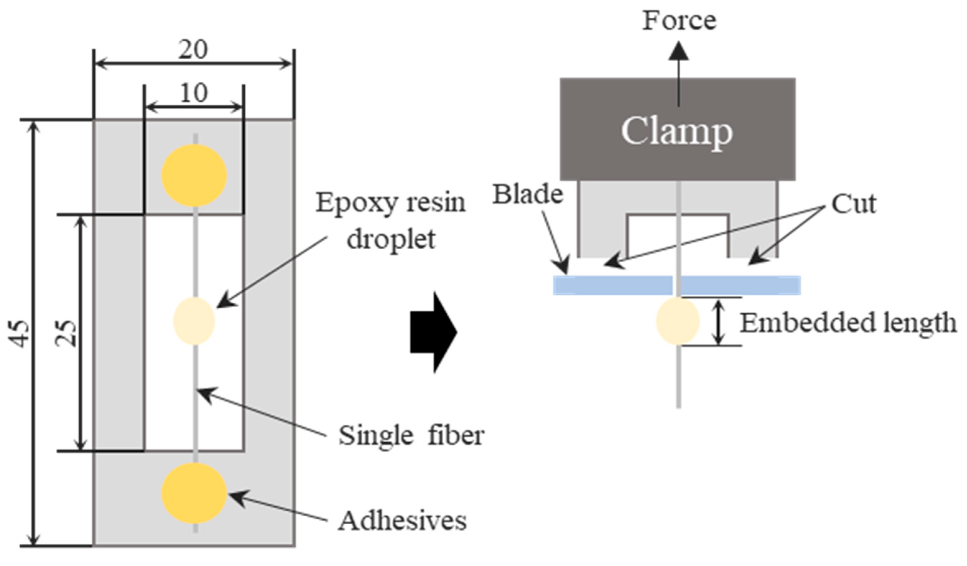 Polymers 17 01610 g002