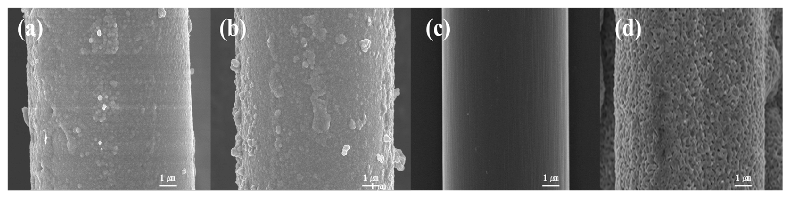 Polymers 17 01610 g004