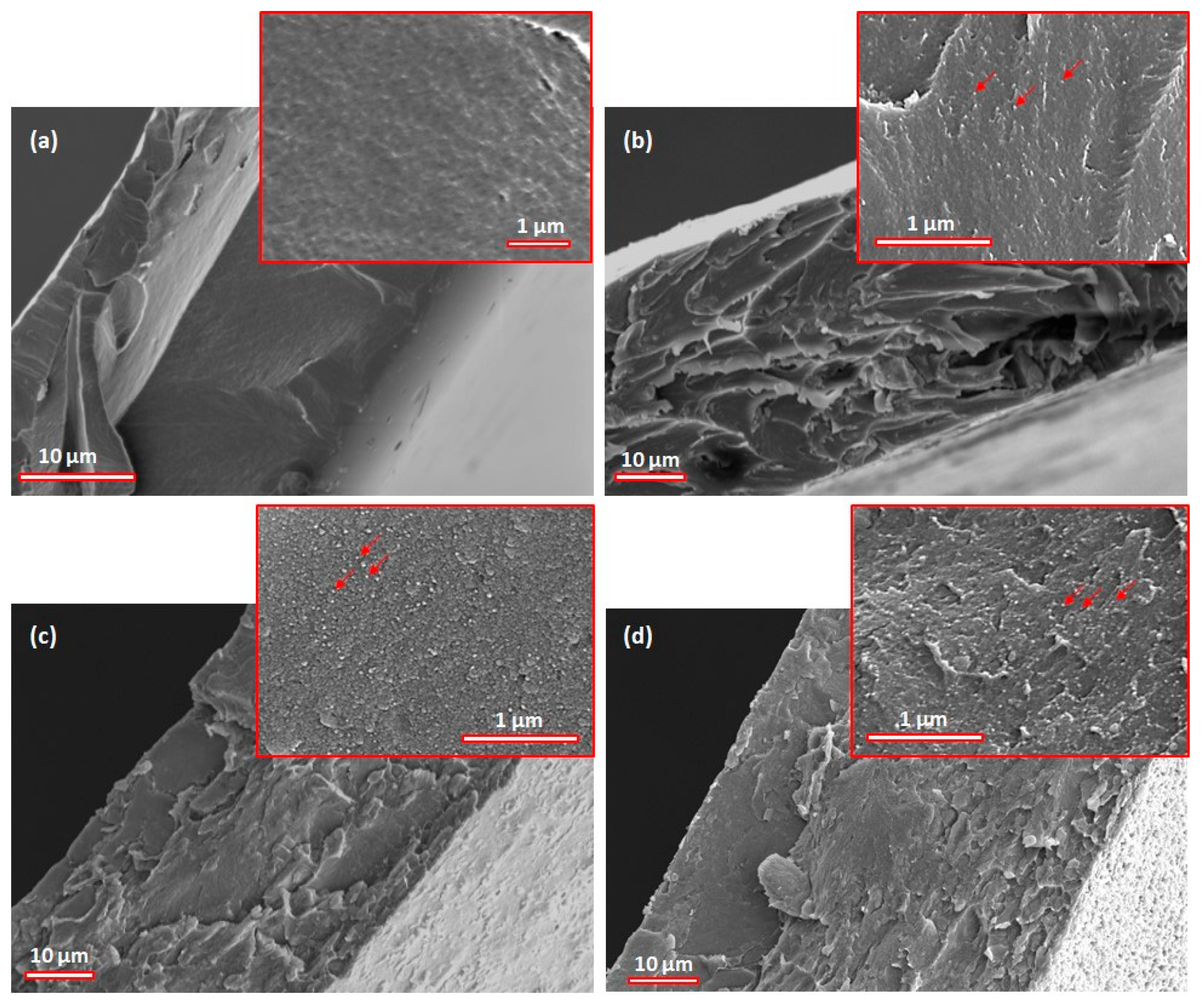 Polymers 17 01612 g004 Polymers 17 01612 g004