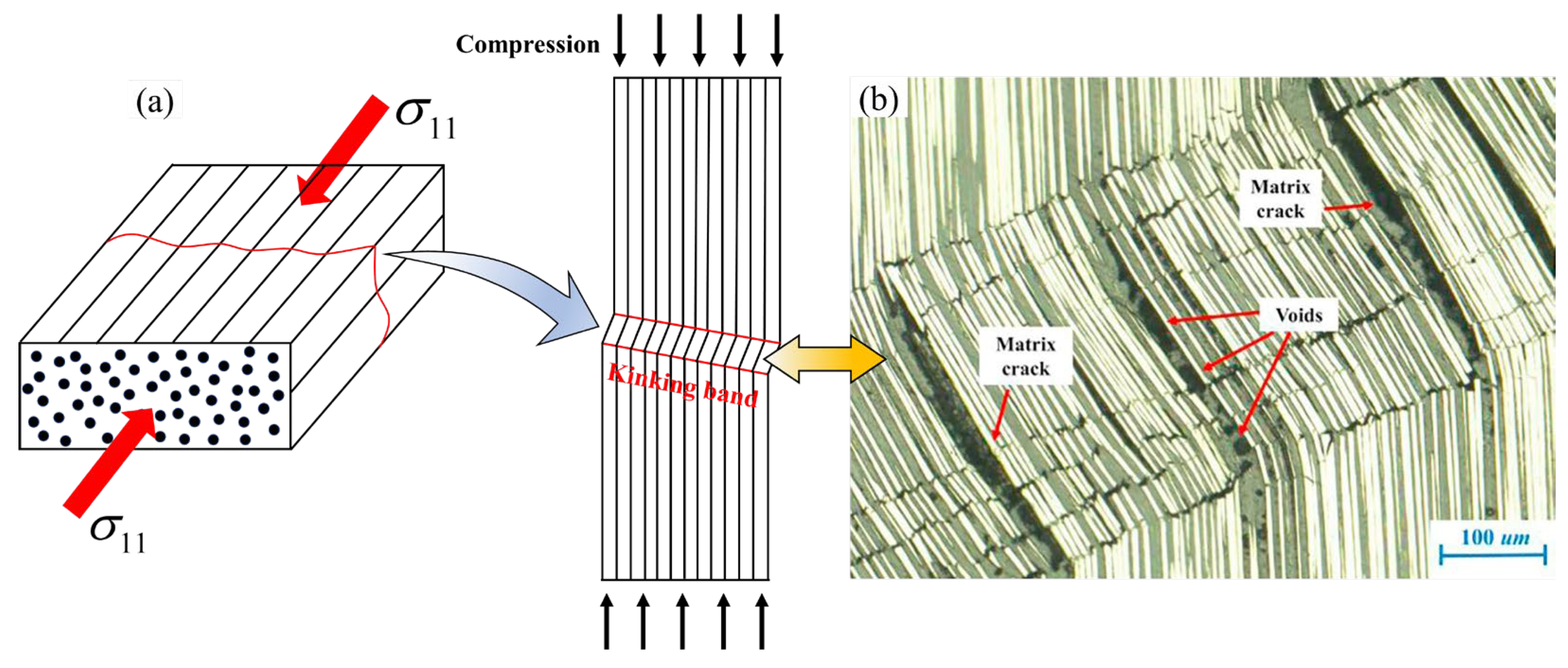 Polymers 17 01613 g001