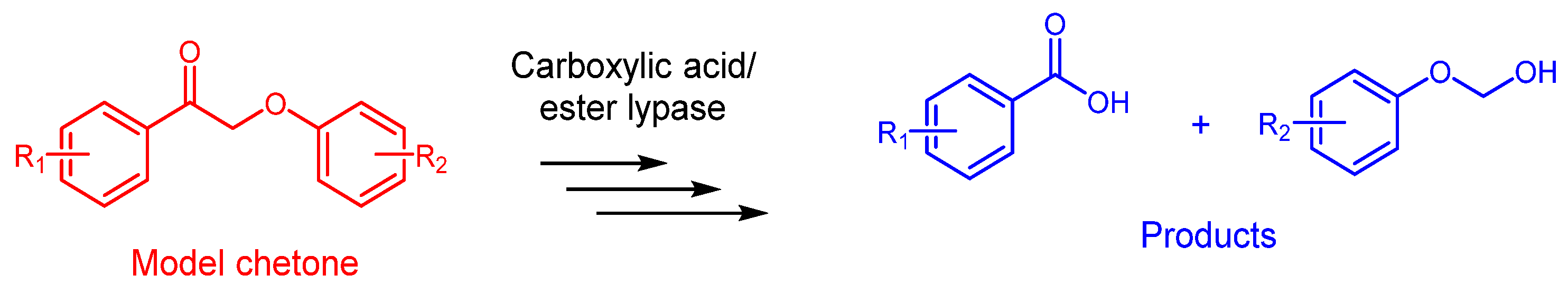 Polymers 17 01614 sch004