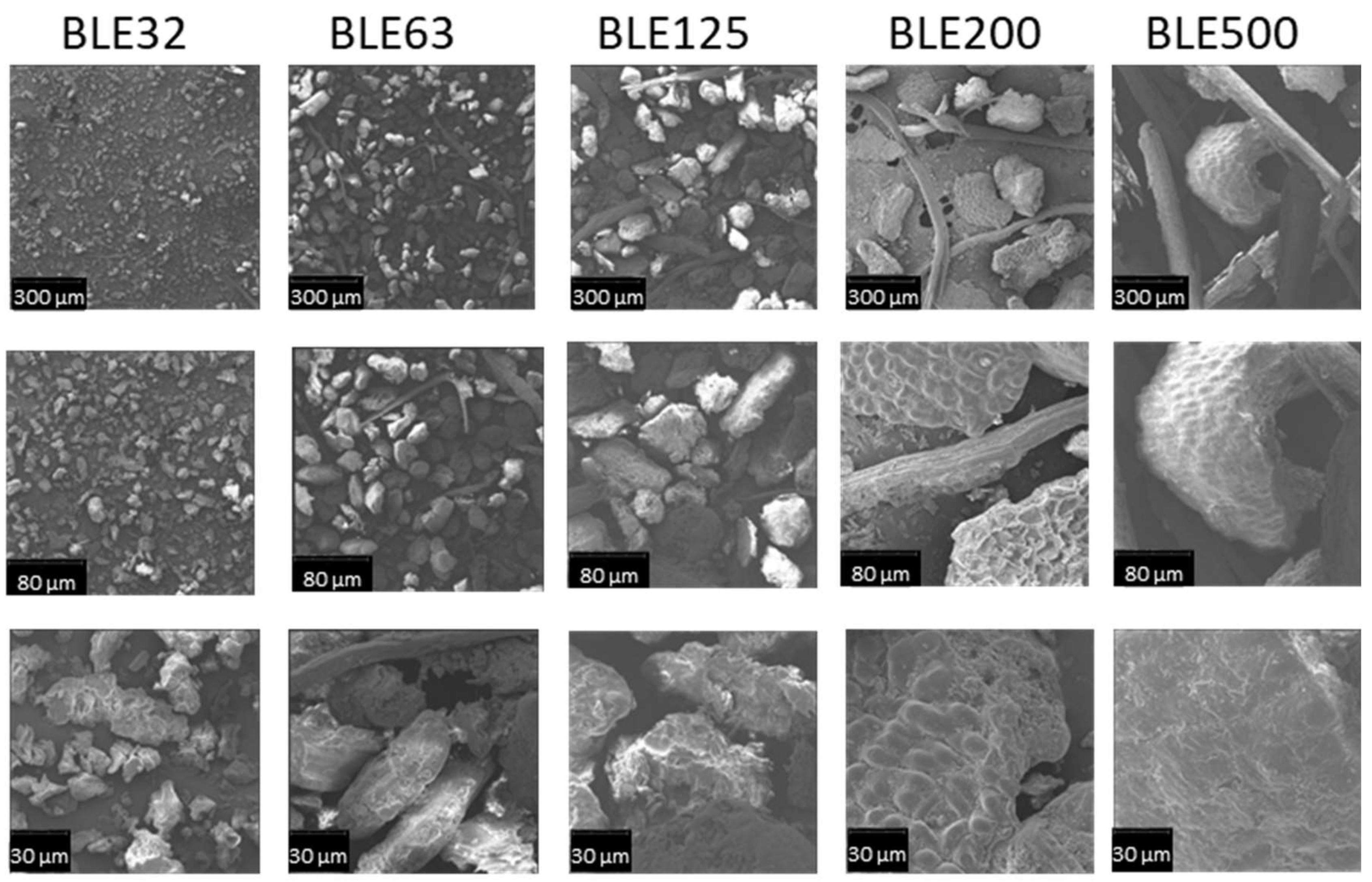 Polymers 17 01619 g004