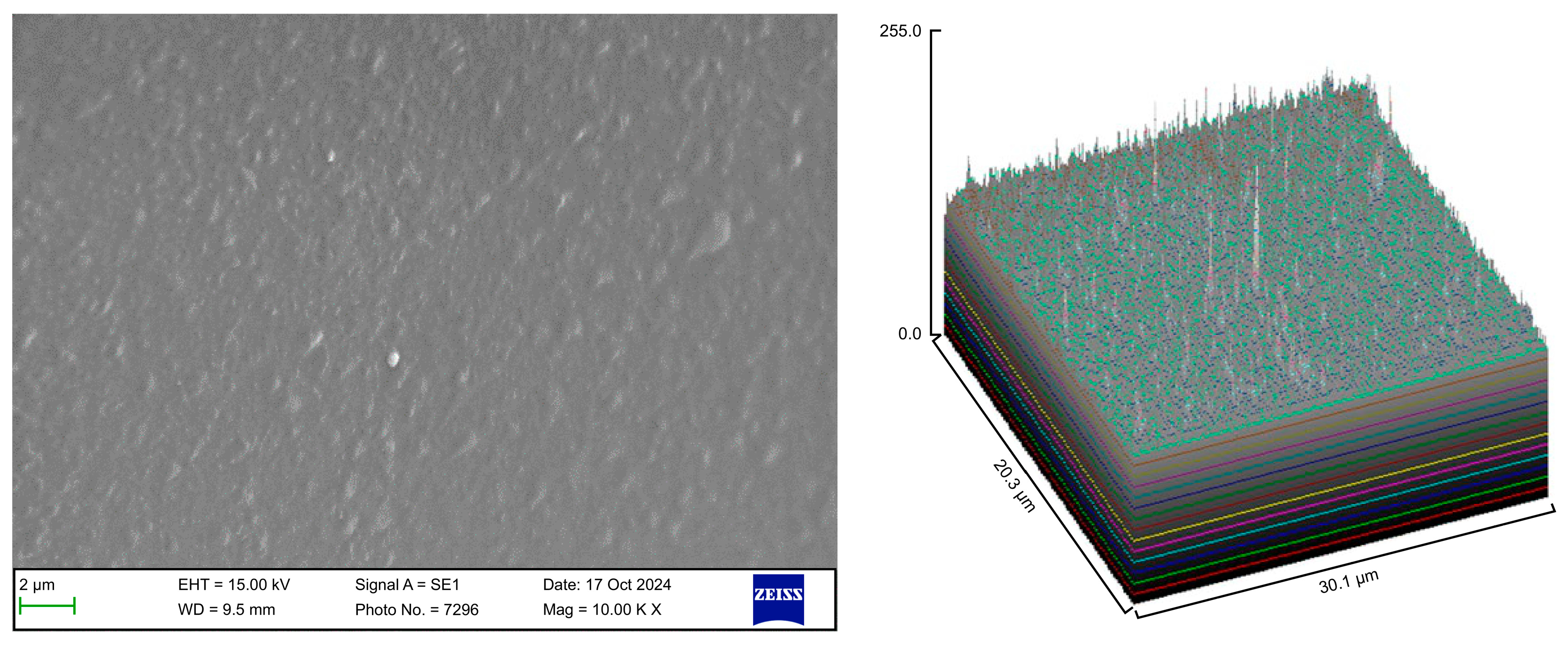 Polymers 17 01620 g005