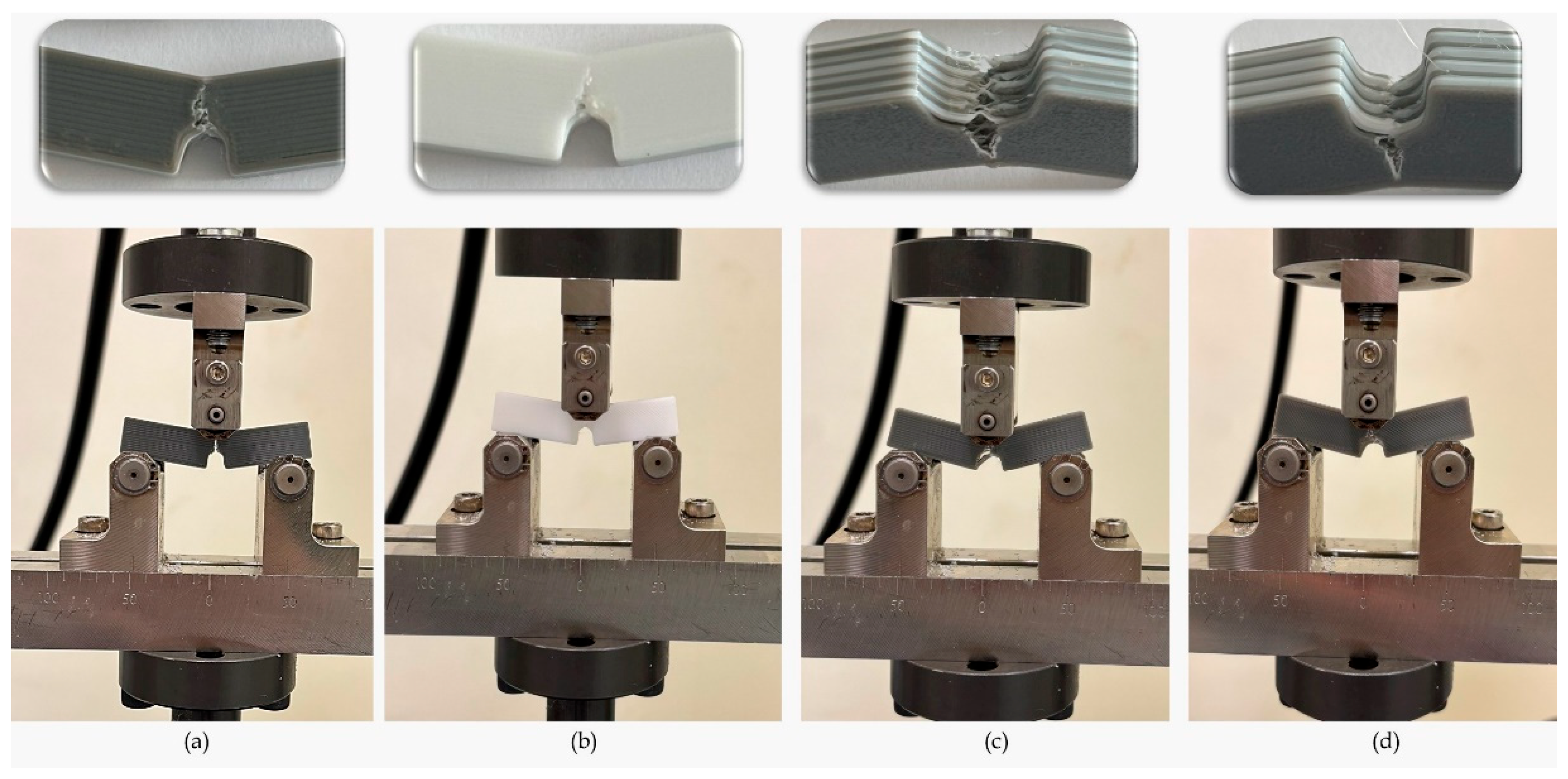 Polymers 17 01631 g007