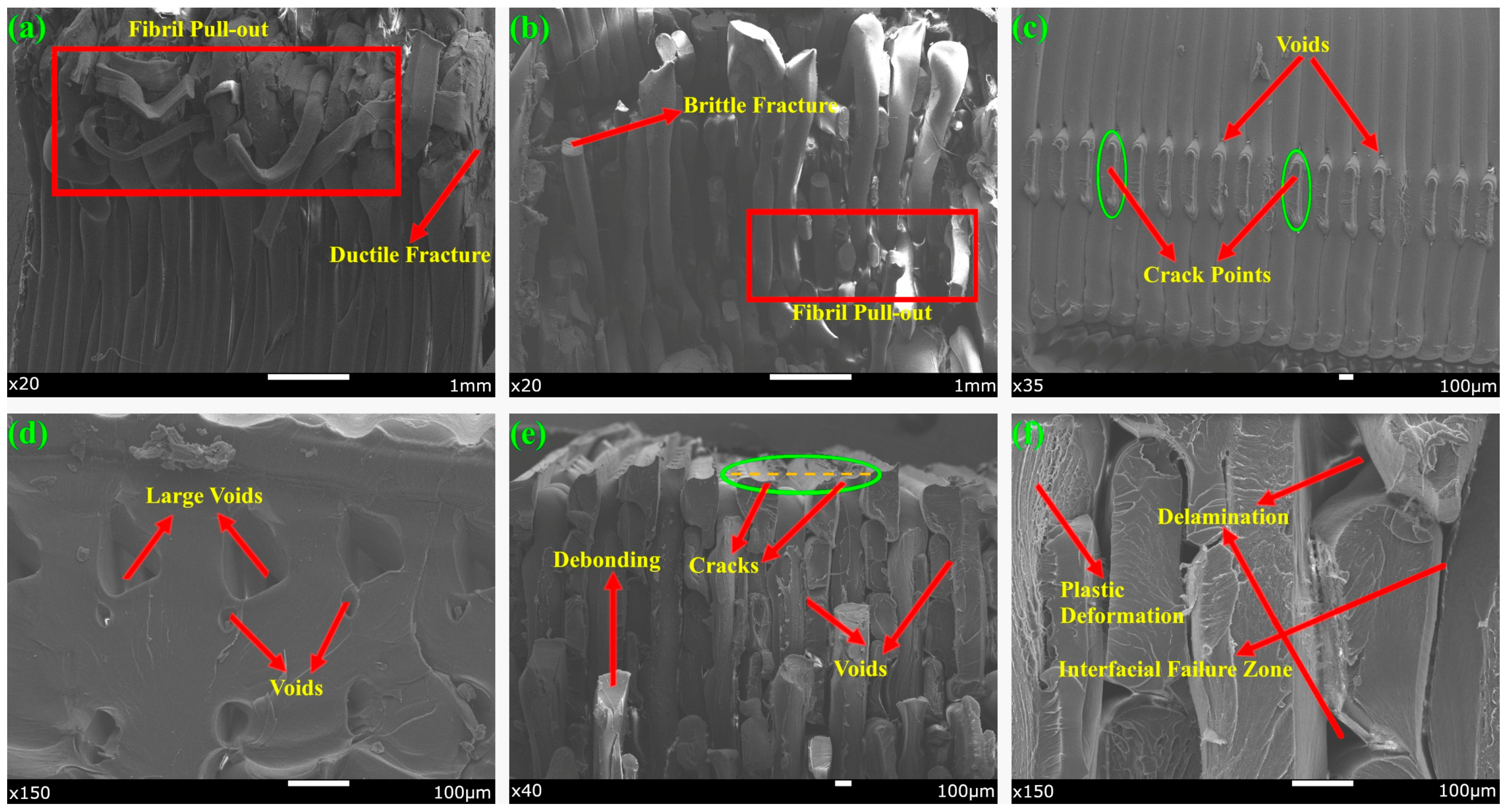 Polymers 17 01631 g011