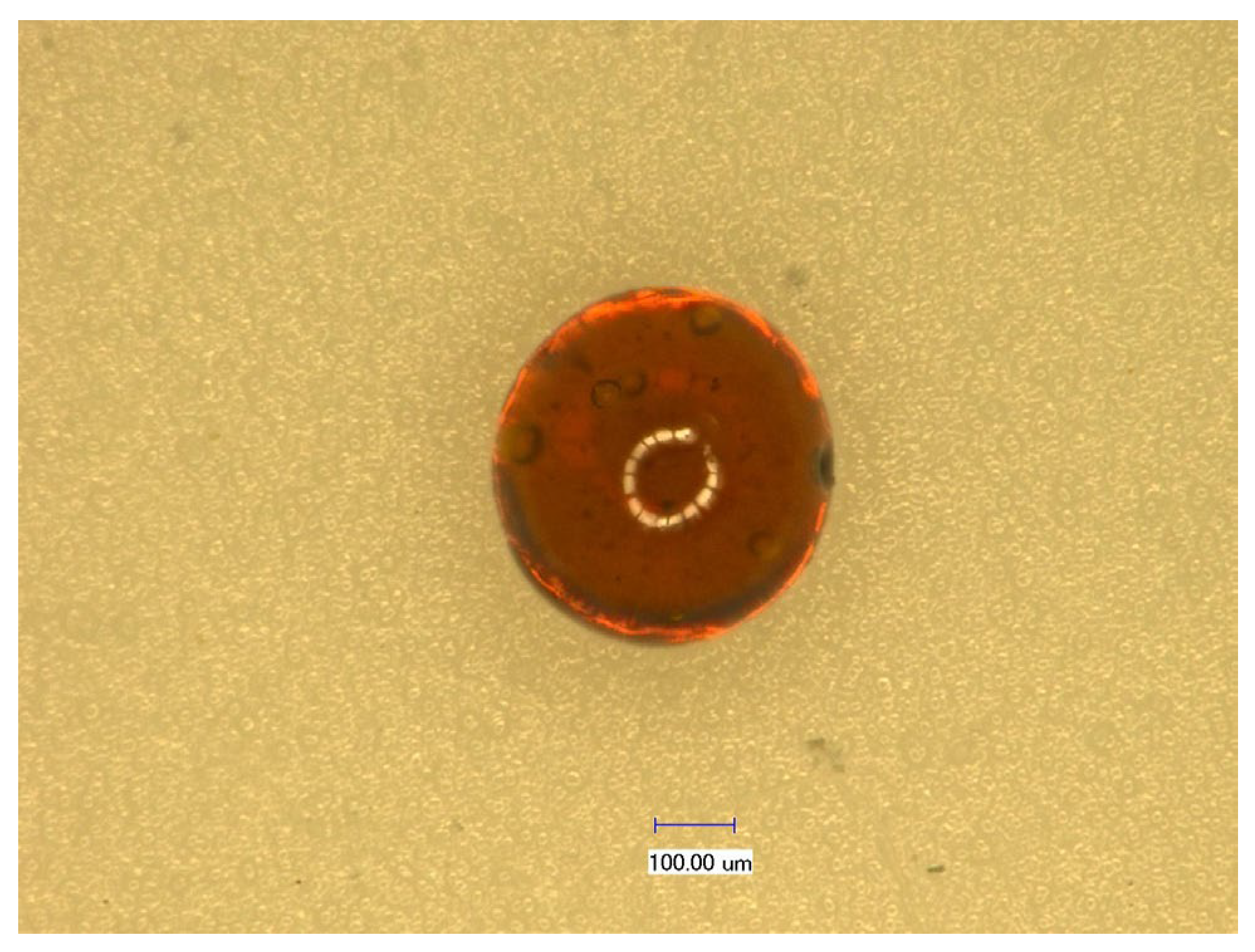 Polymers 17 01633 g001