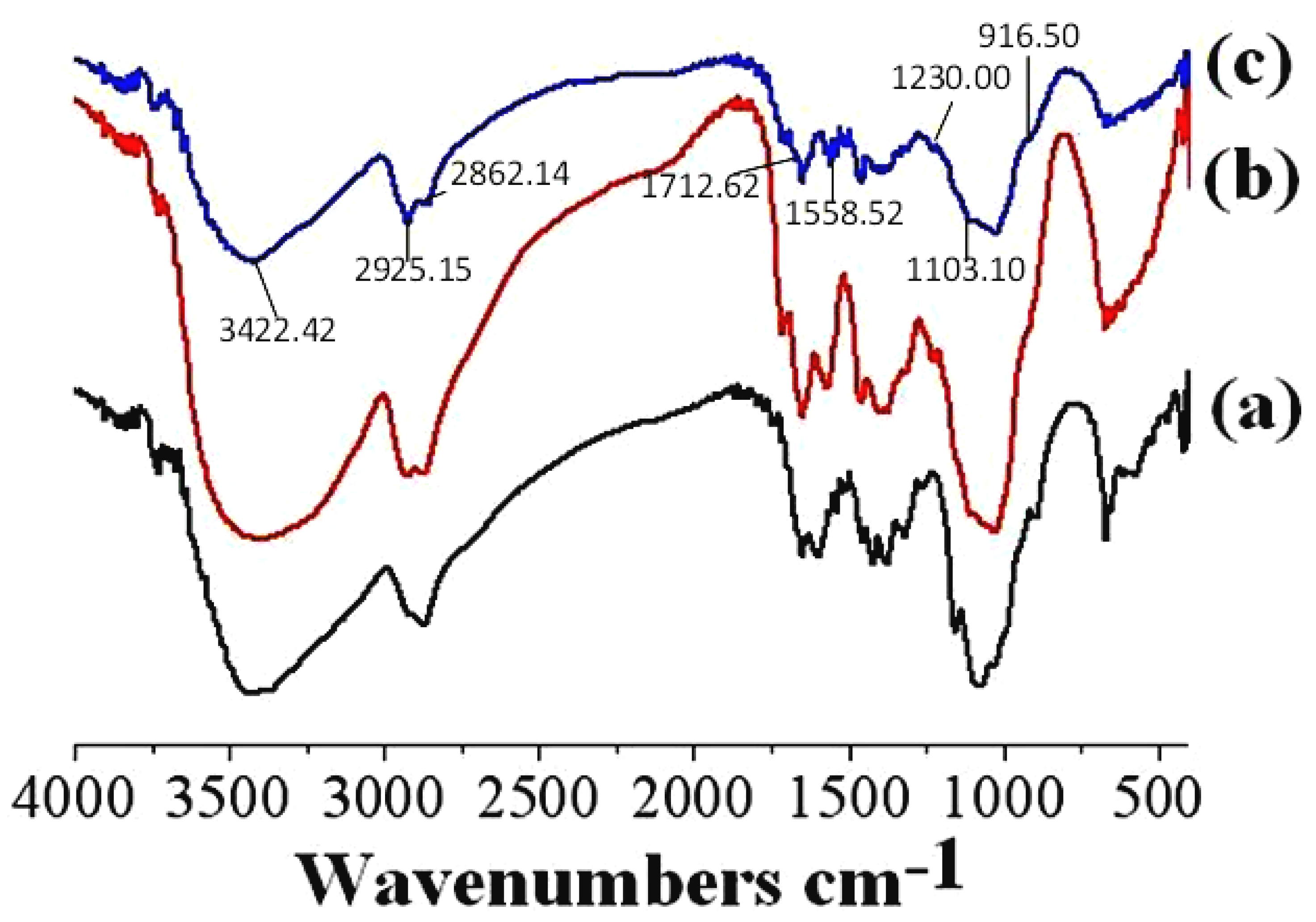 Polymers 17 01633 g003