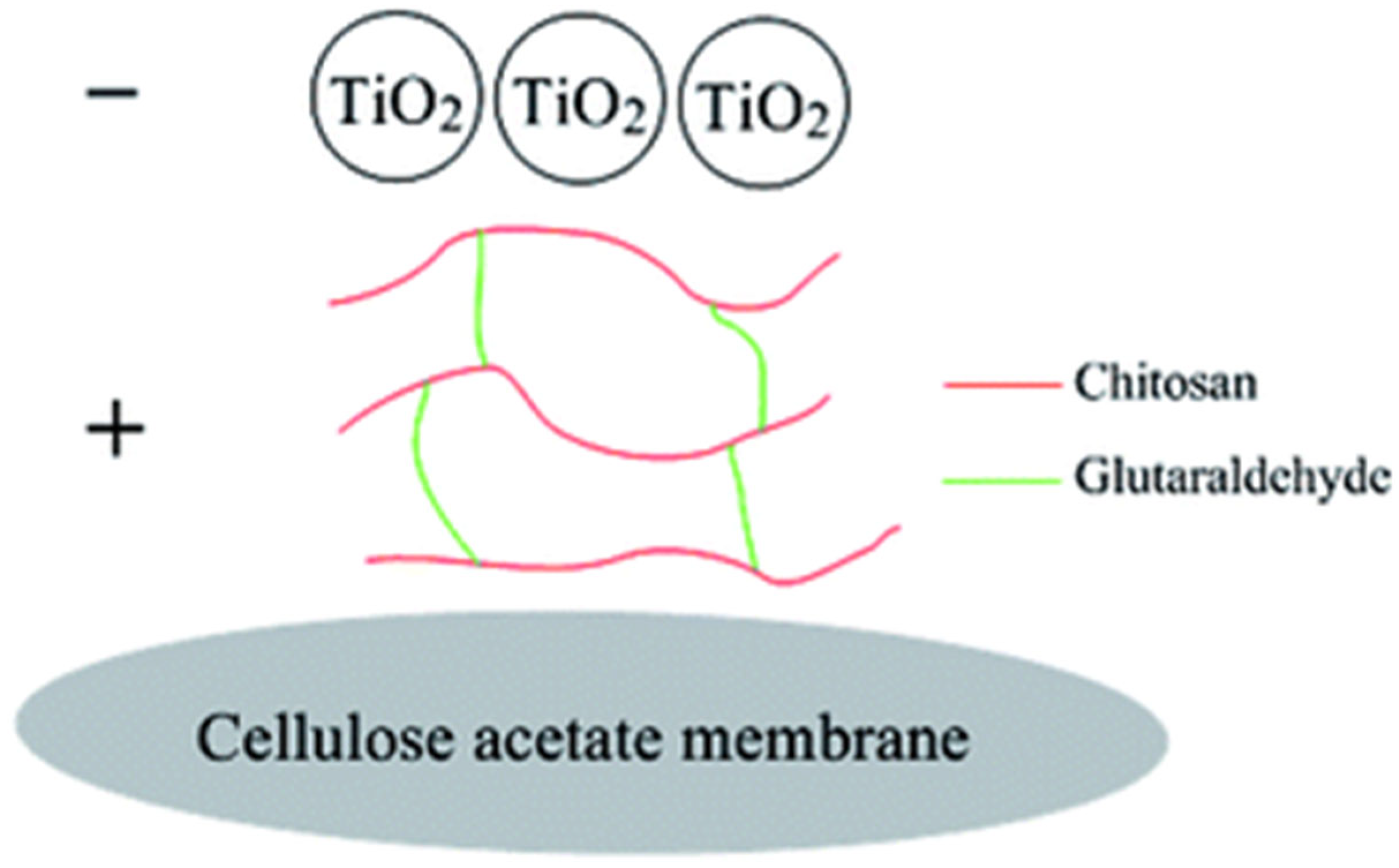 Polymers 17 01635 g004