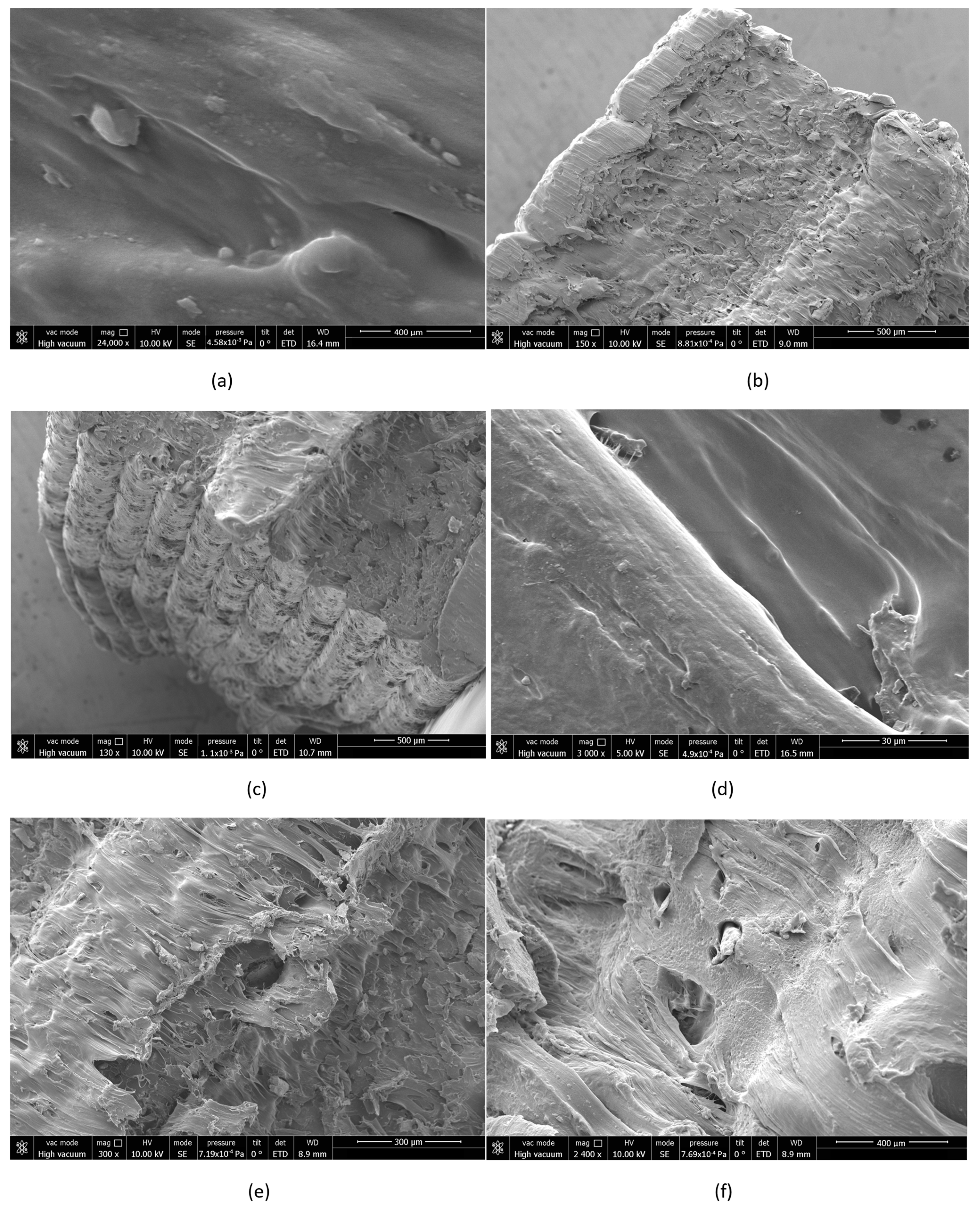 Polymers 17 01637 g015
