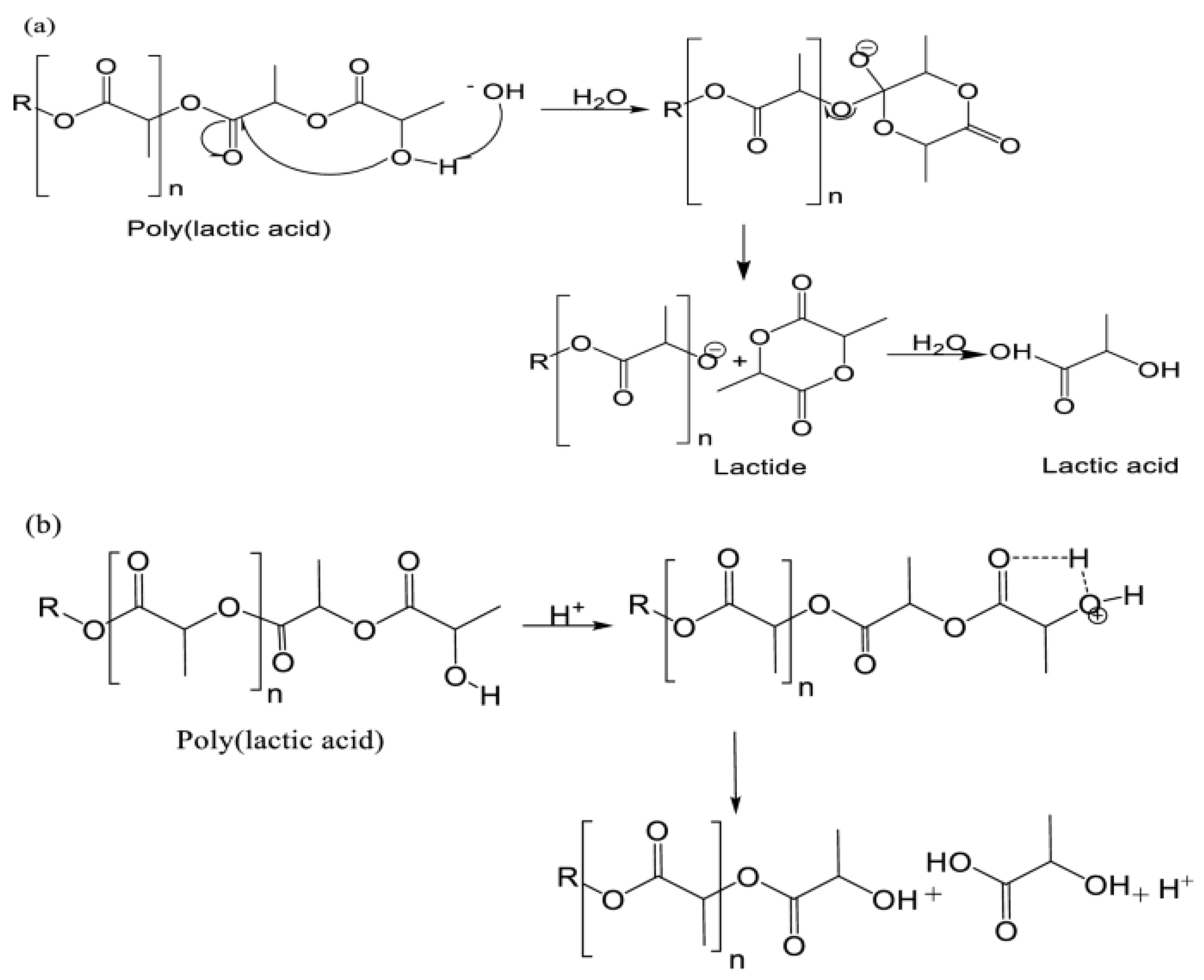 Polymers 17 01637 g017