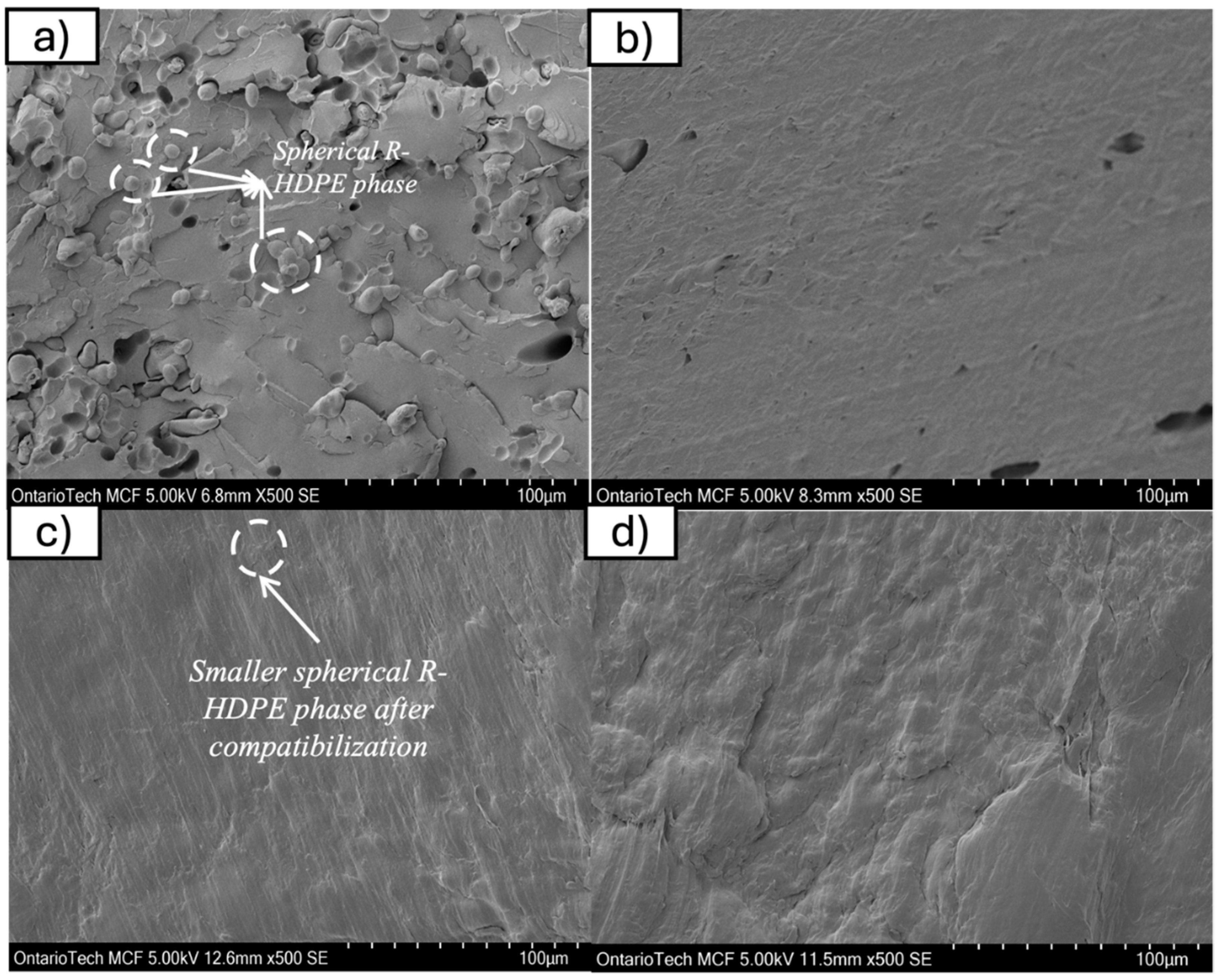 Polymers 17 01638 g010