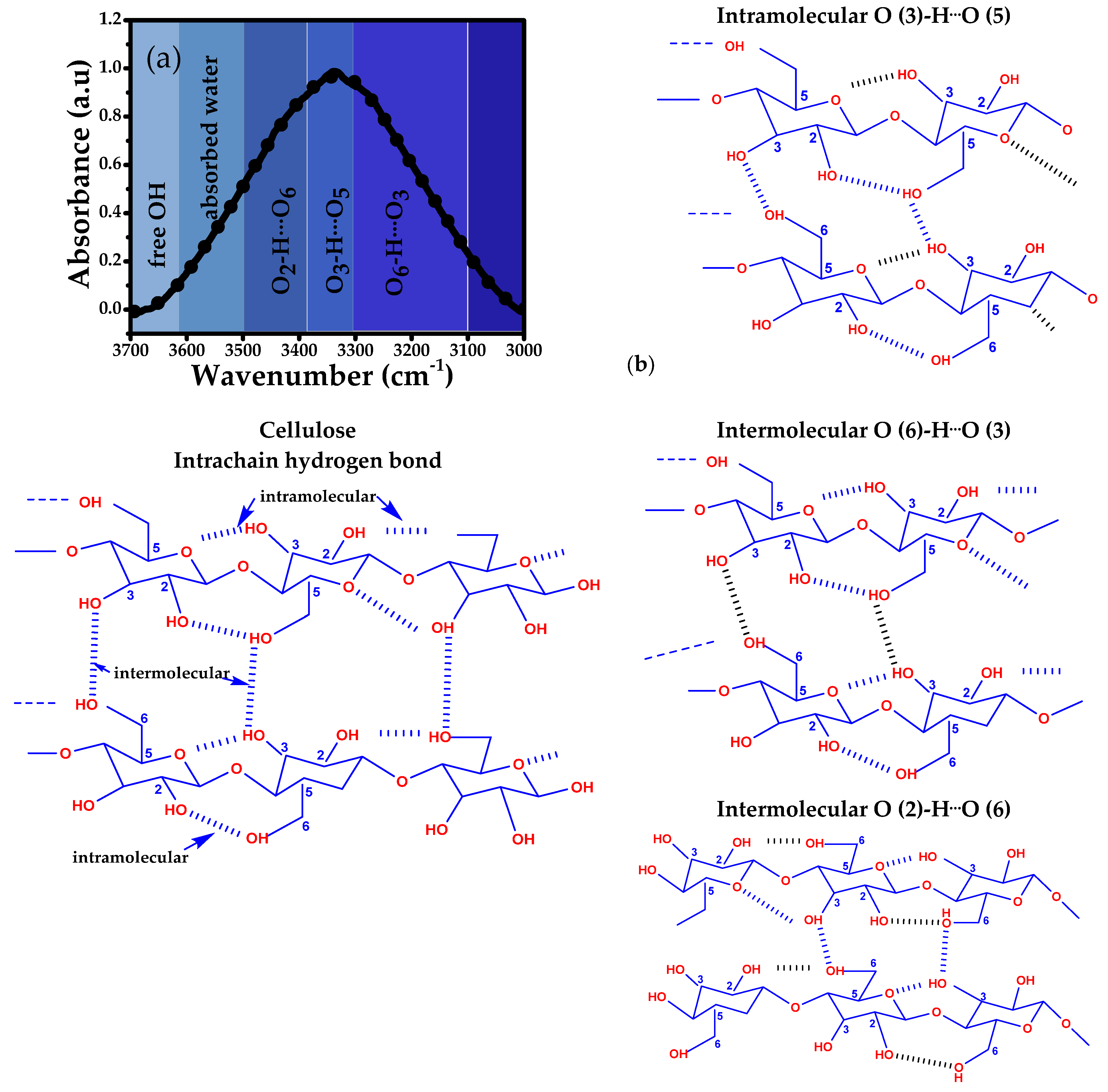 Polymers 17 01642 g005
