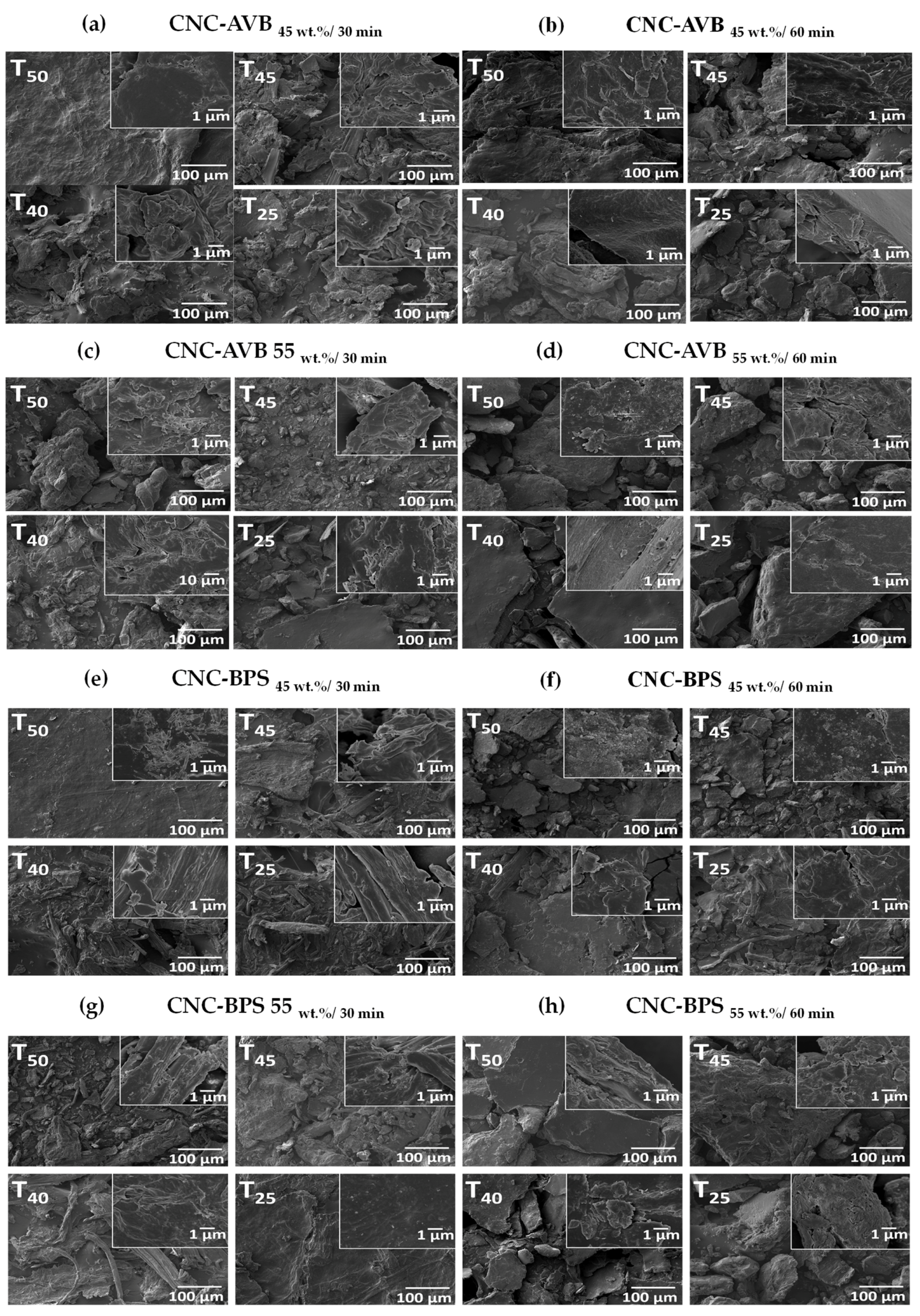 Polymers 17 01642 g010