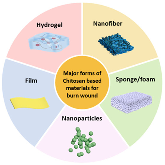chitosan and alginate wound dressings a short review Full article: Applications of chitosan as a wound dressing material: an updated review