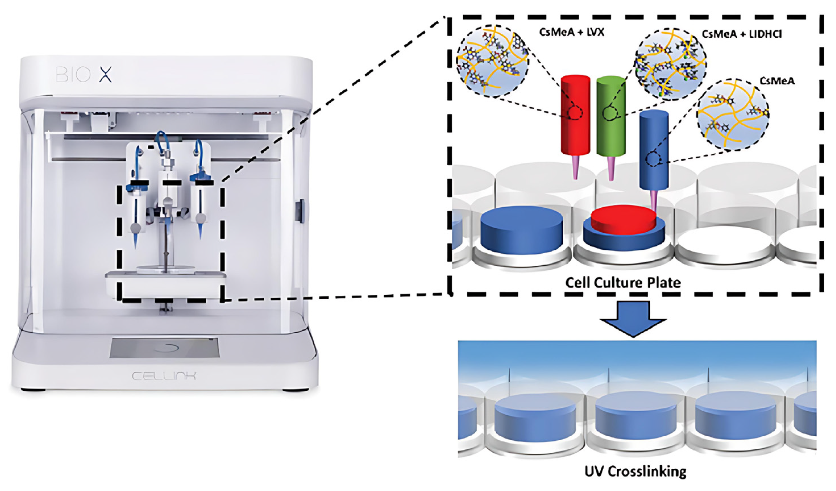Polymers 17 01647 g002