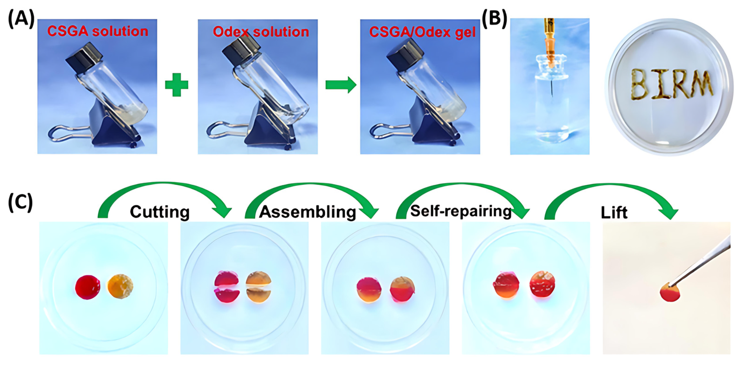 Polymers 17 01647 g003