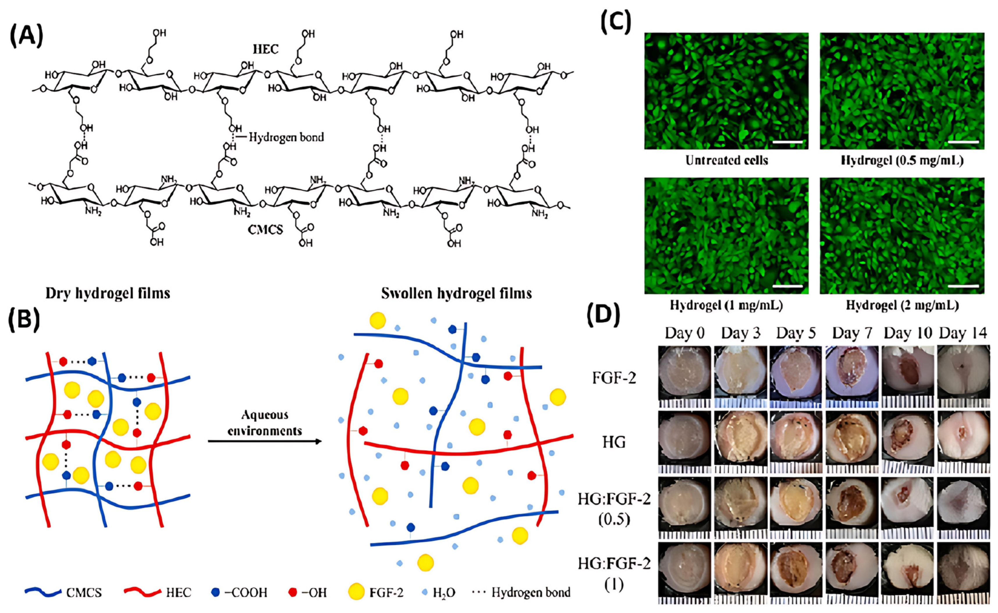 Polymers 17 01647 g007