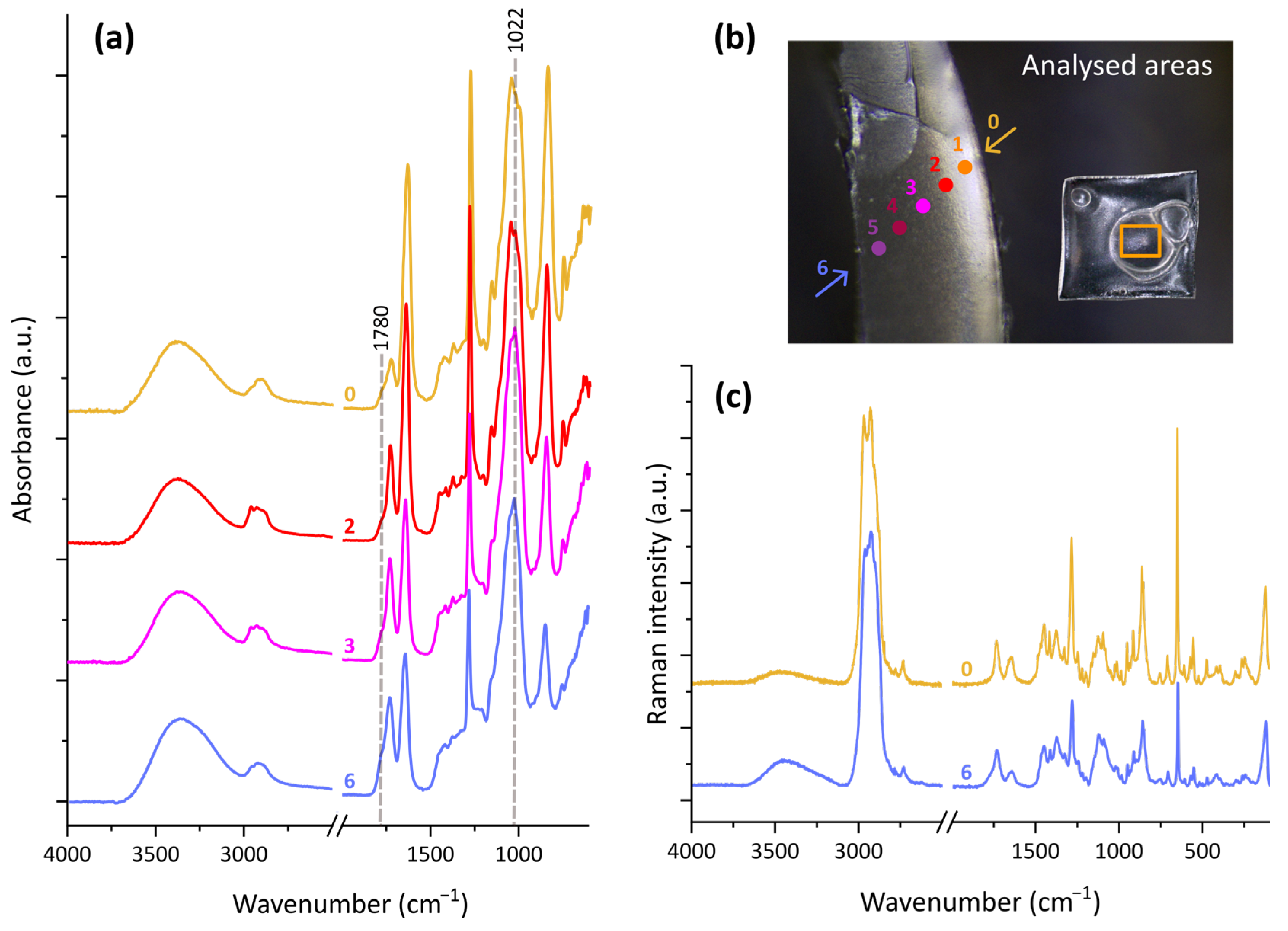 Polymers 17 01648 g004