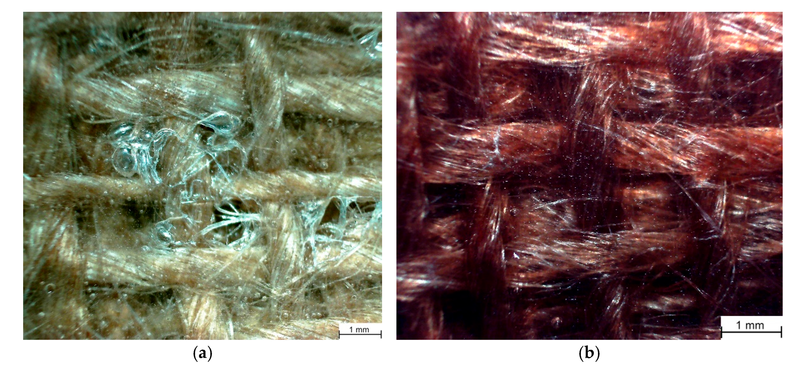 Polymers 17 01649 g005