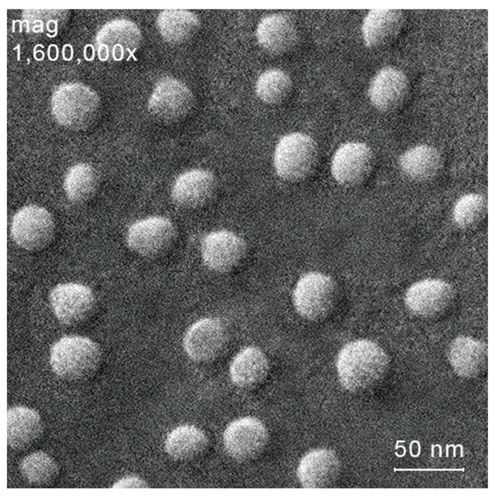 Polymers 17 01657 g003