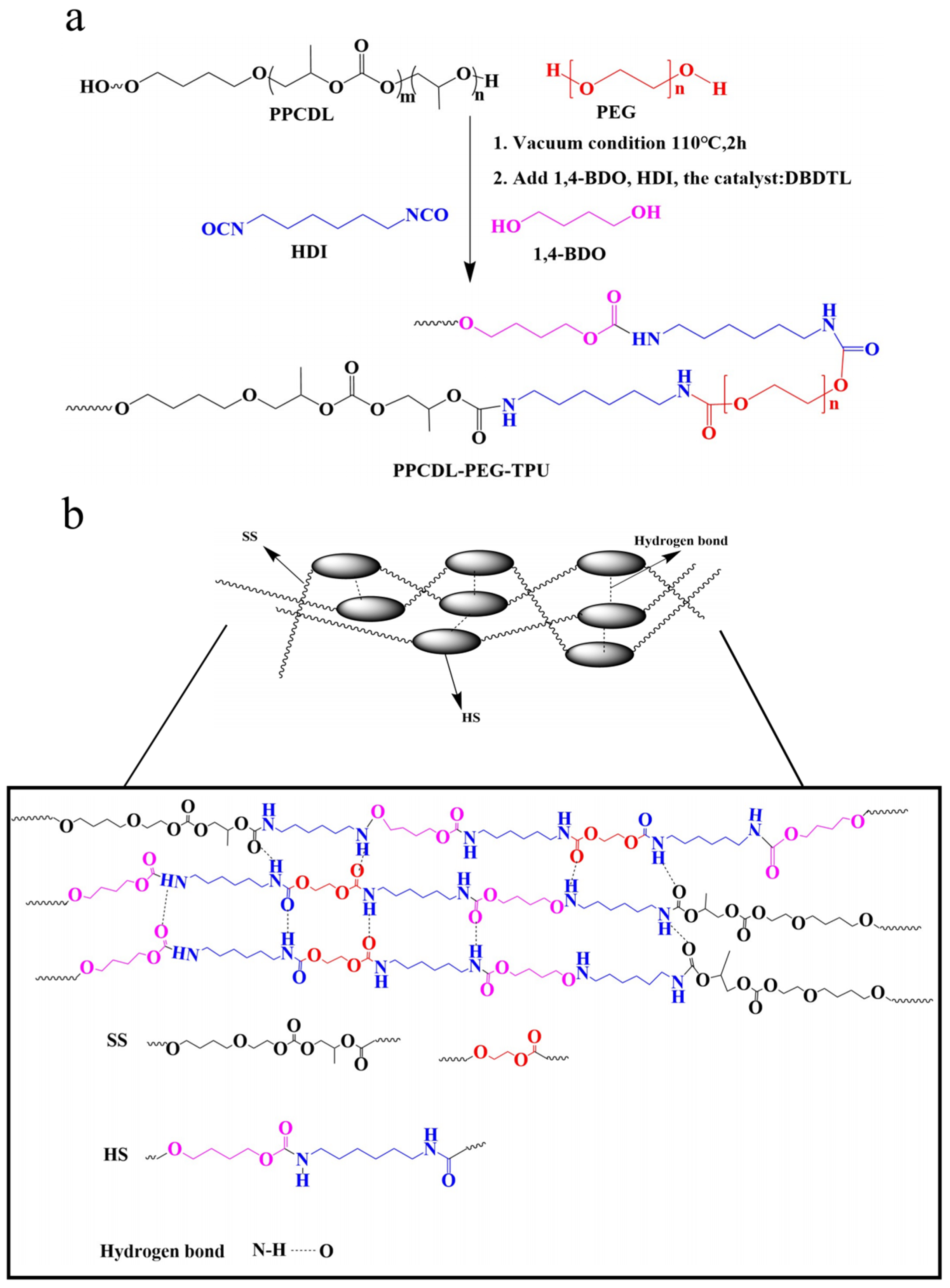 Biodegradable, Wear-Resistant and Resilient Thermoplastic