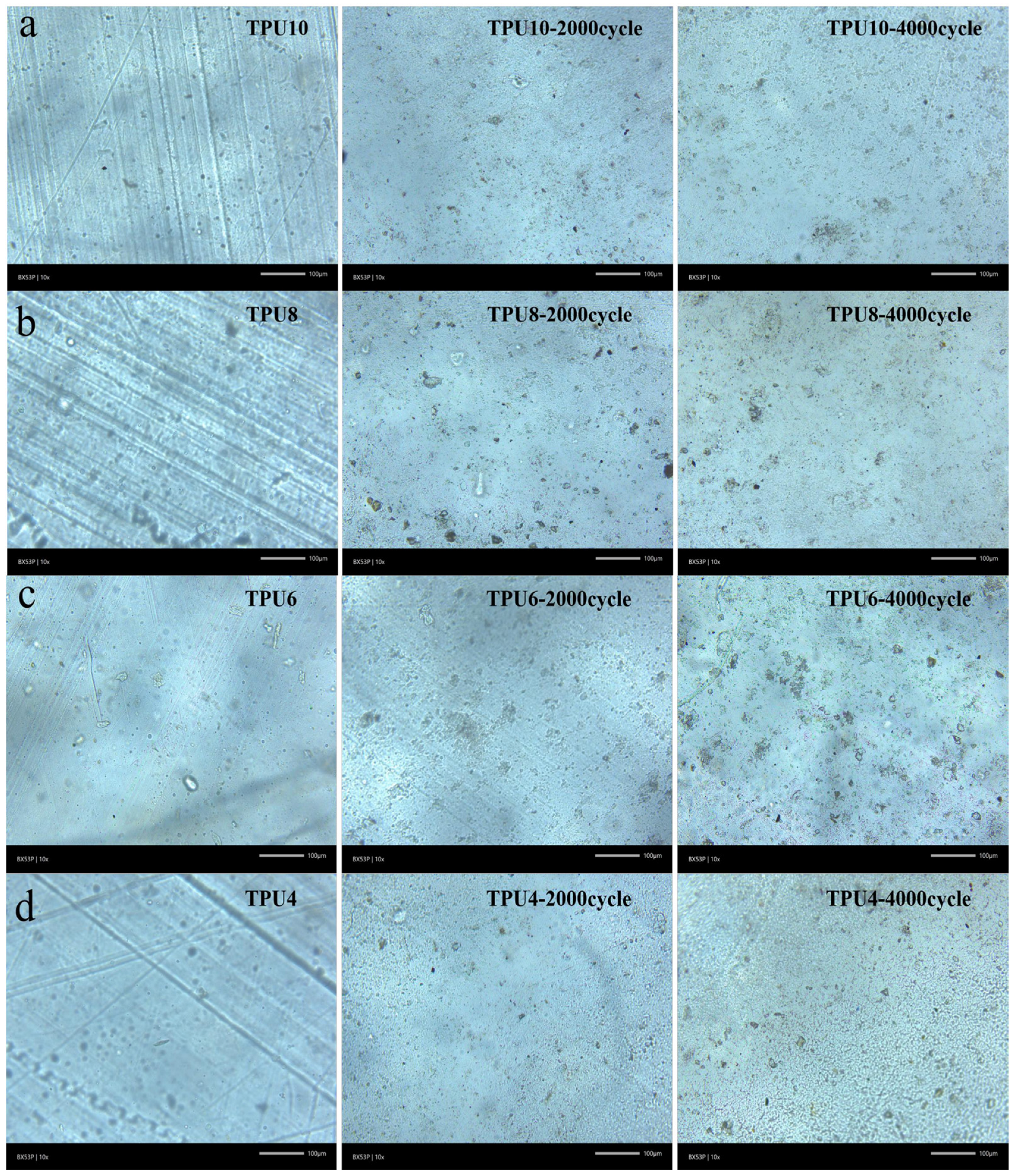 Polymers 17 01665 g007