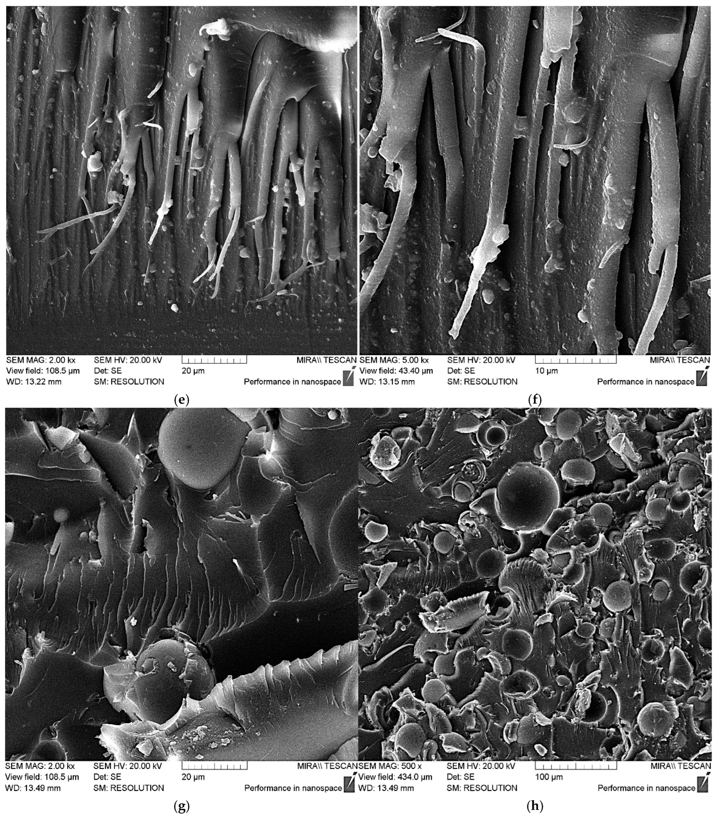 Polymers 17 01666 g009b