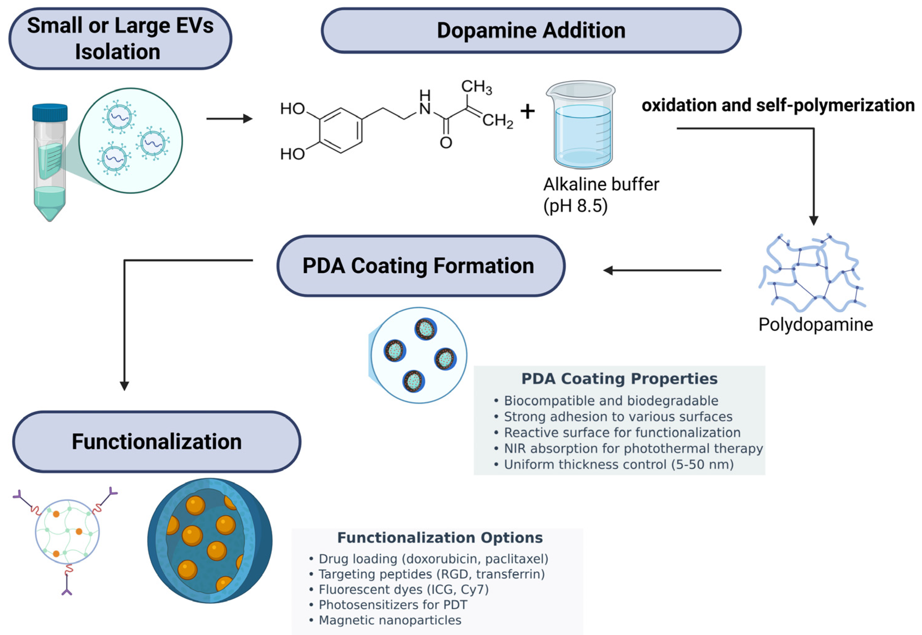 Polymers 17 01670 g002 Polymers 17 01670 g002
