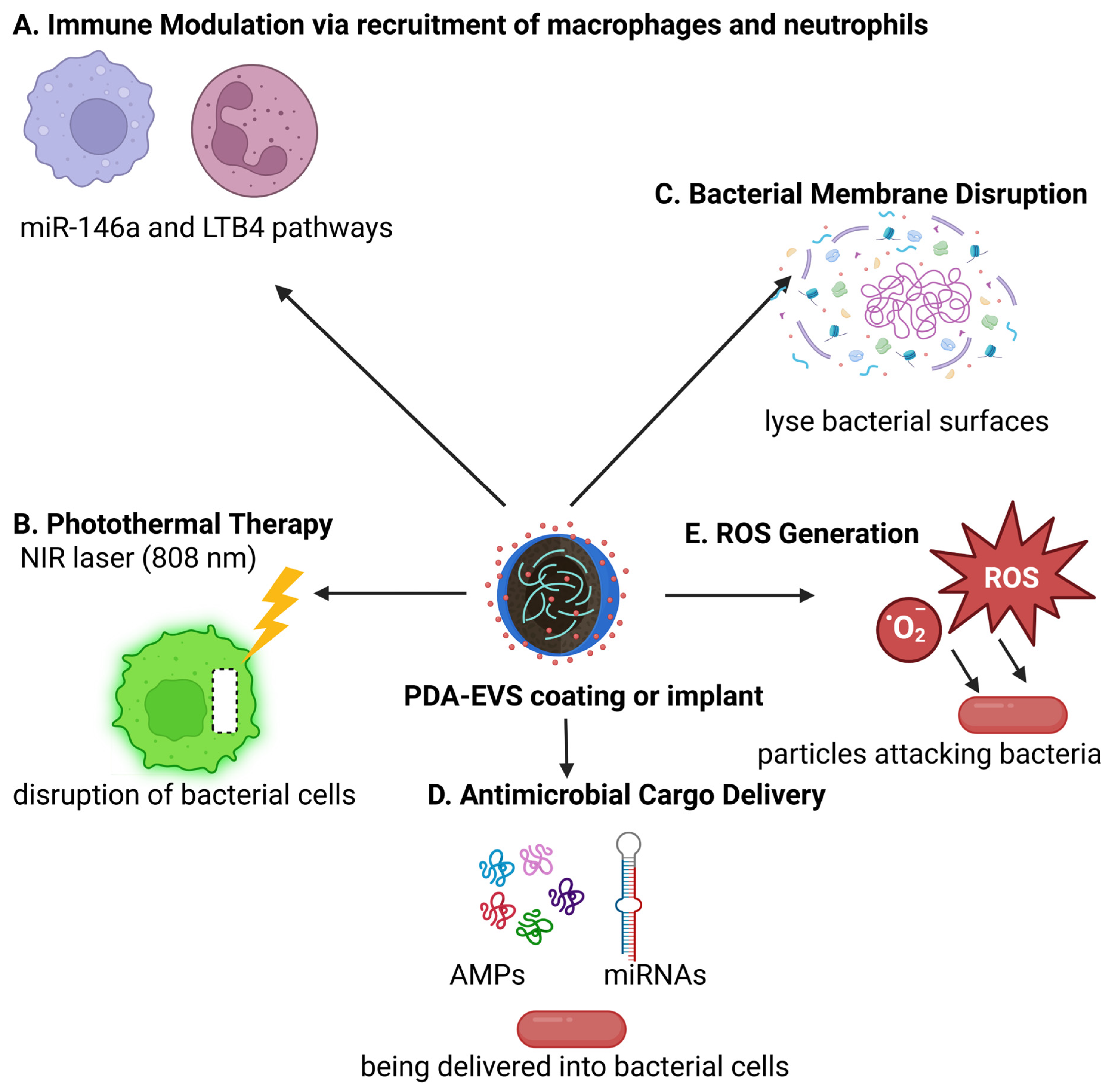 Polymers 17 01670 g004 Polymers 17 01670 g004
