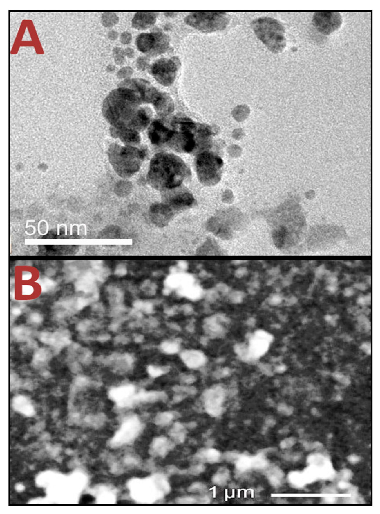 Polymers 17 01671 g003