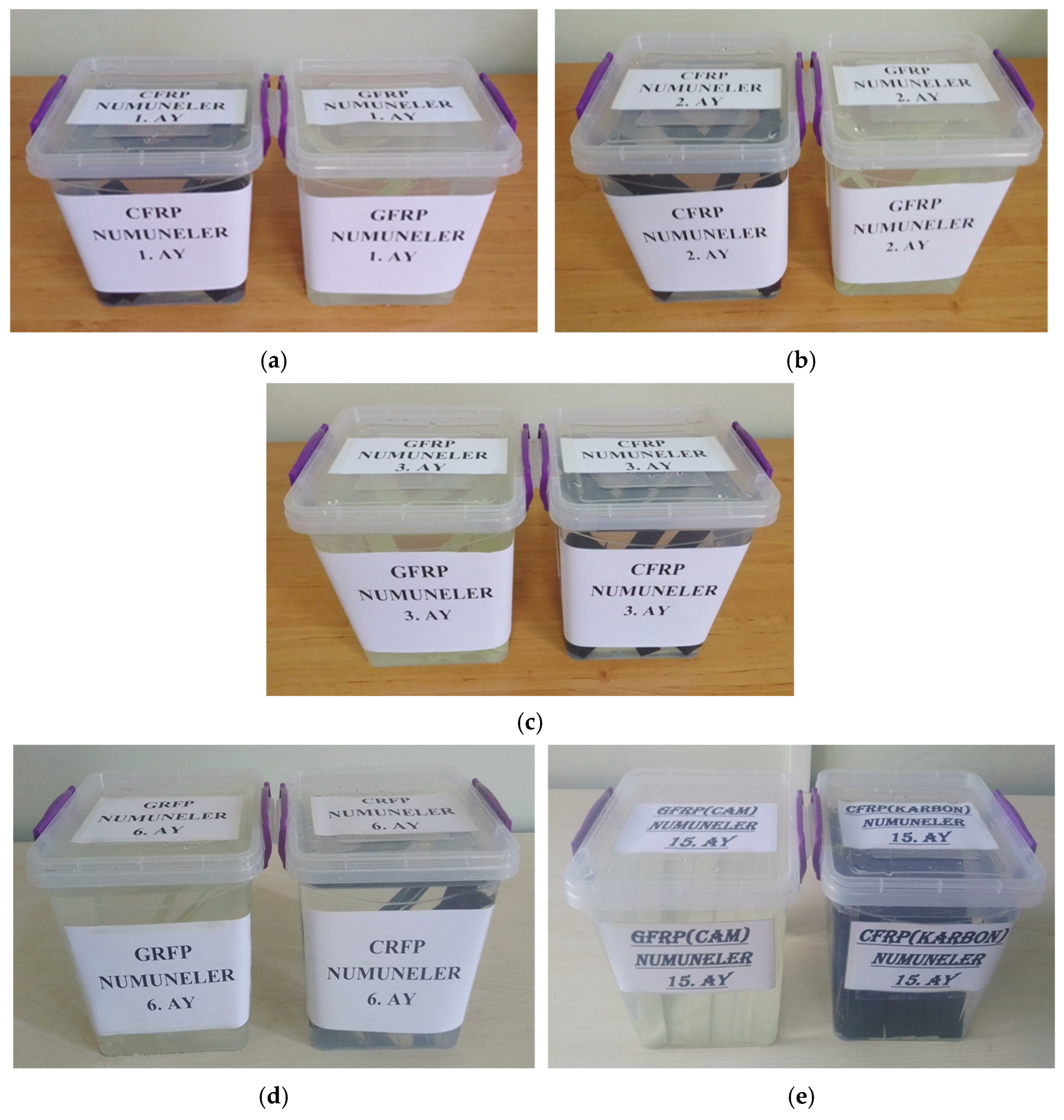 Polymers 17 01672 g010