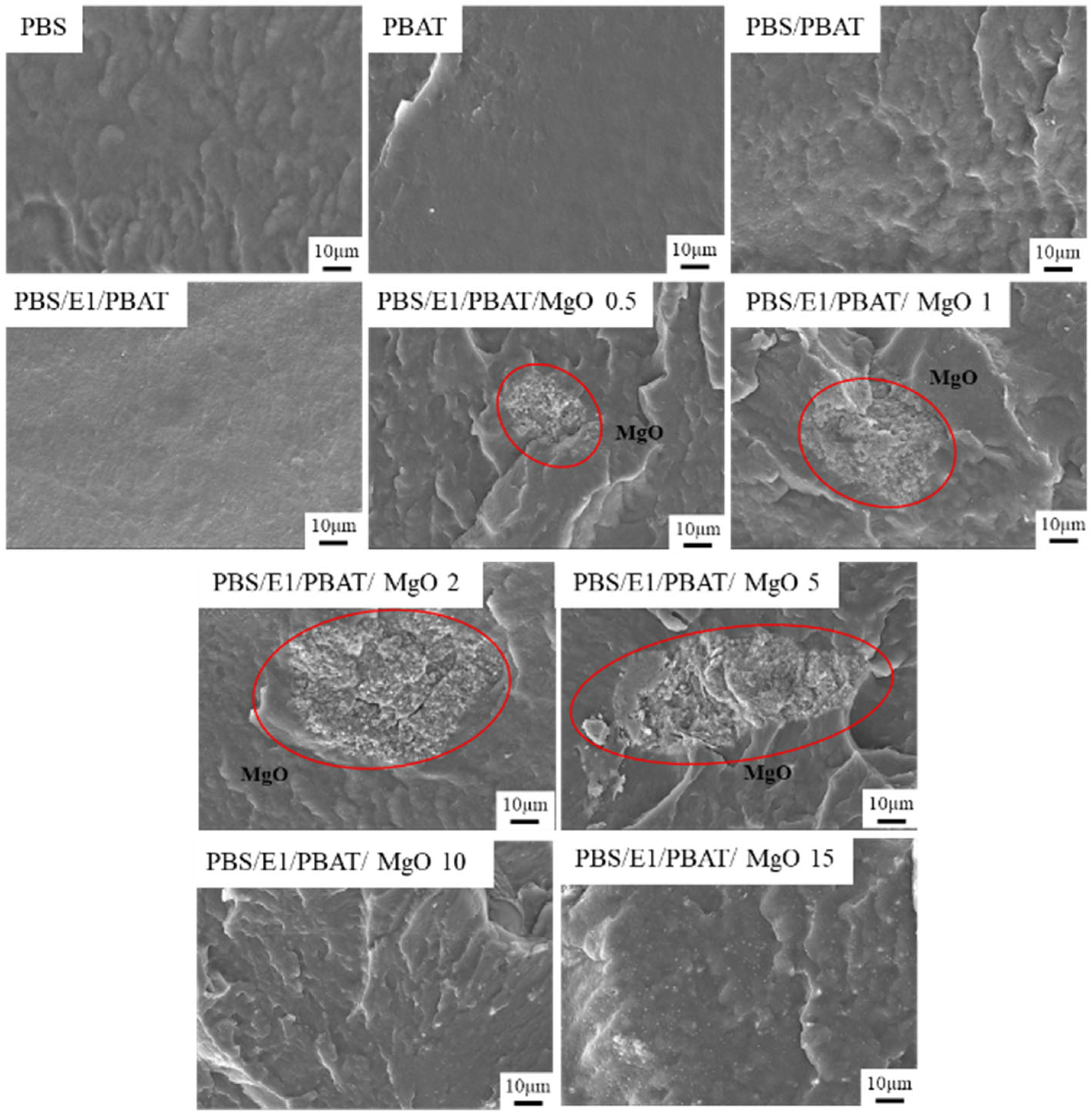 Polymers 17 01675 g002