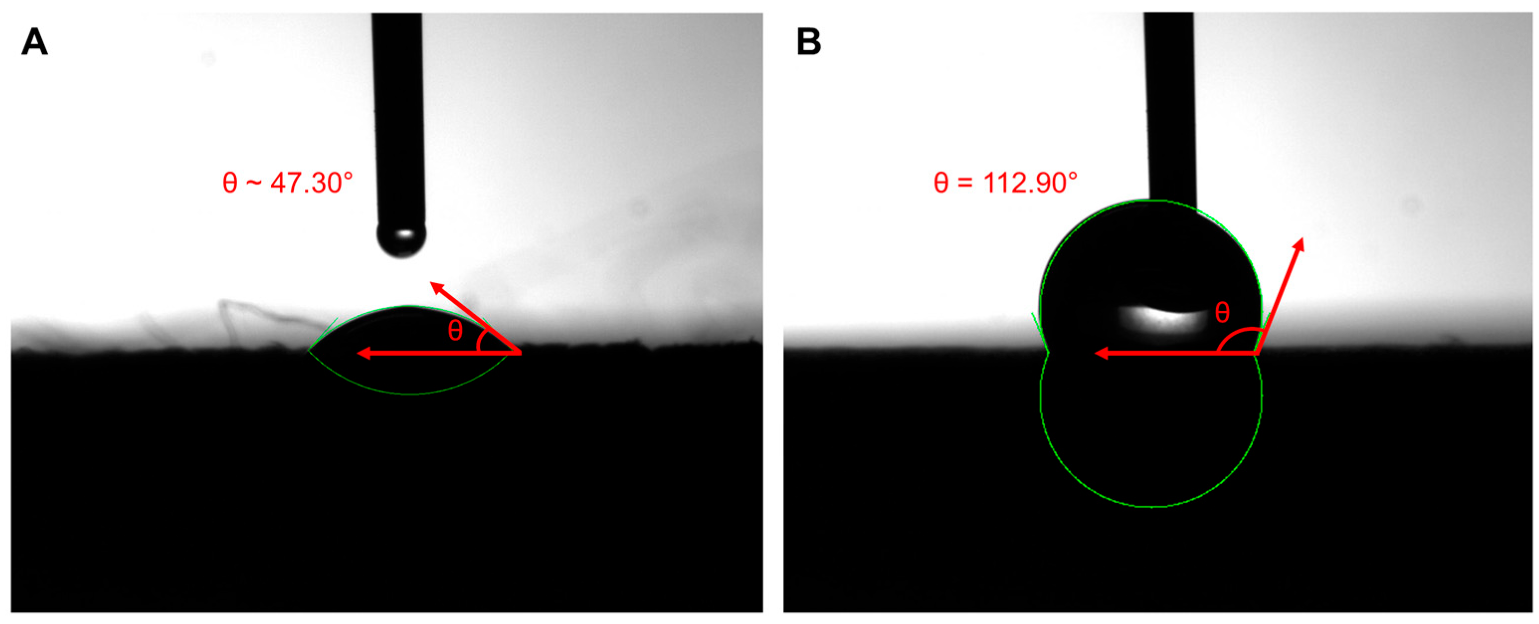 Polymers 17 01678 g006