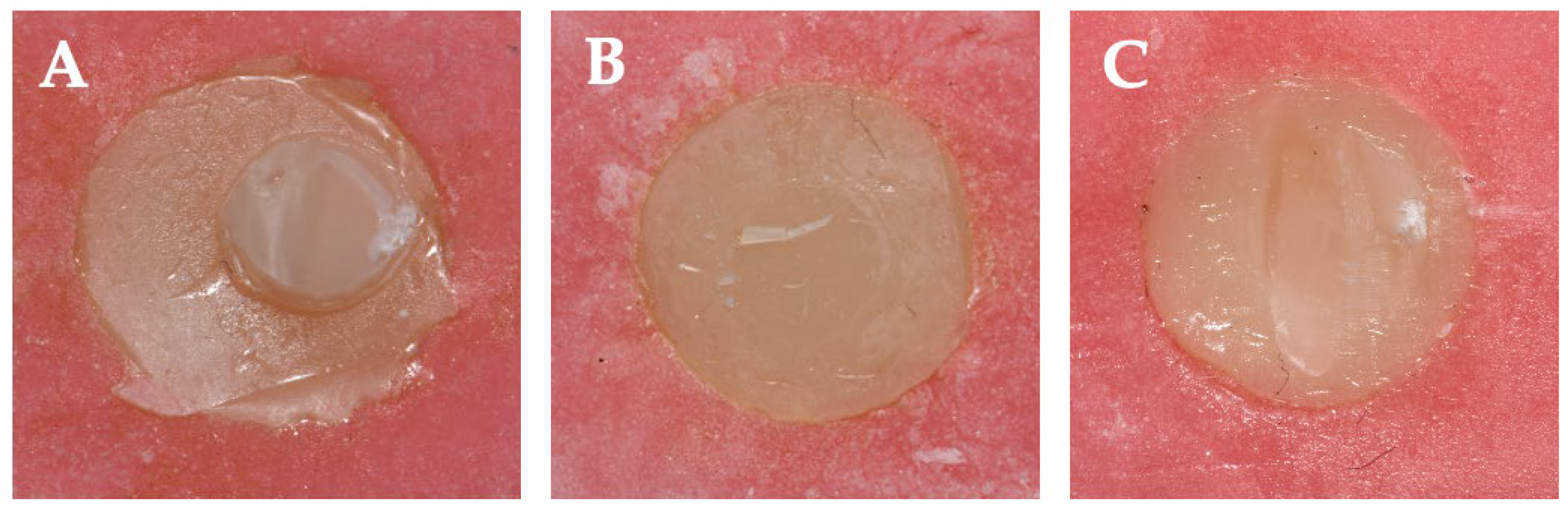 Polymers 17 01680 g005