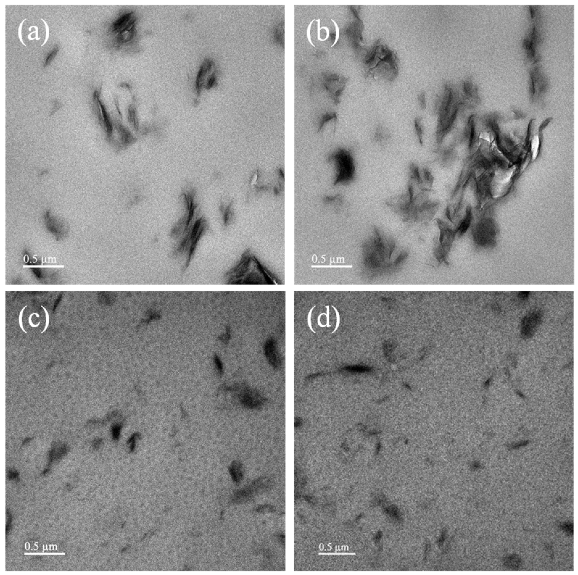 Polymers 17 01684 g005