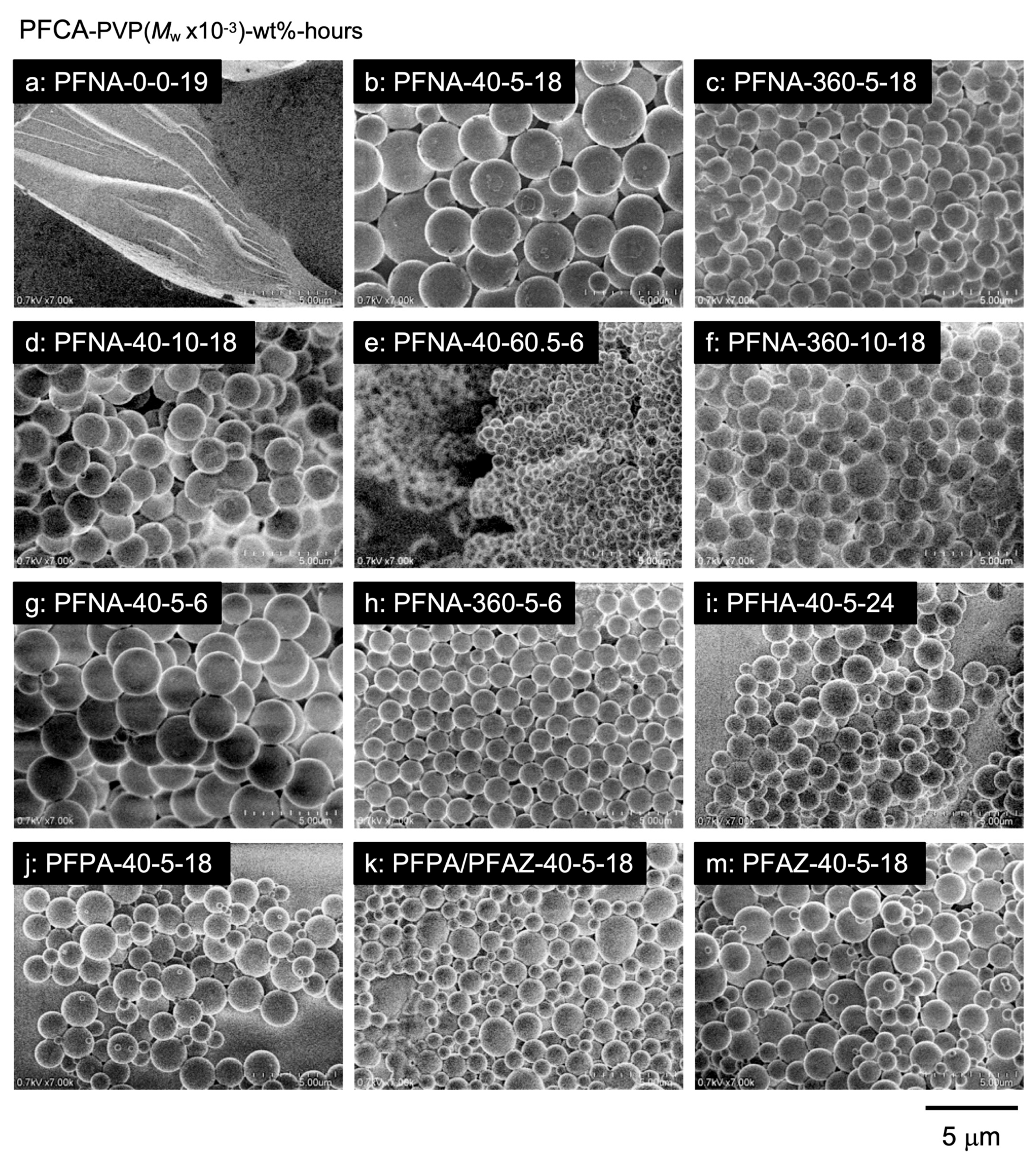 Polymers 17 01688 g004