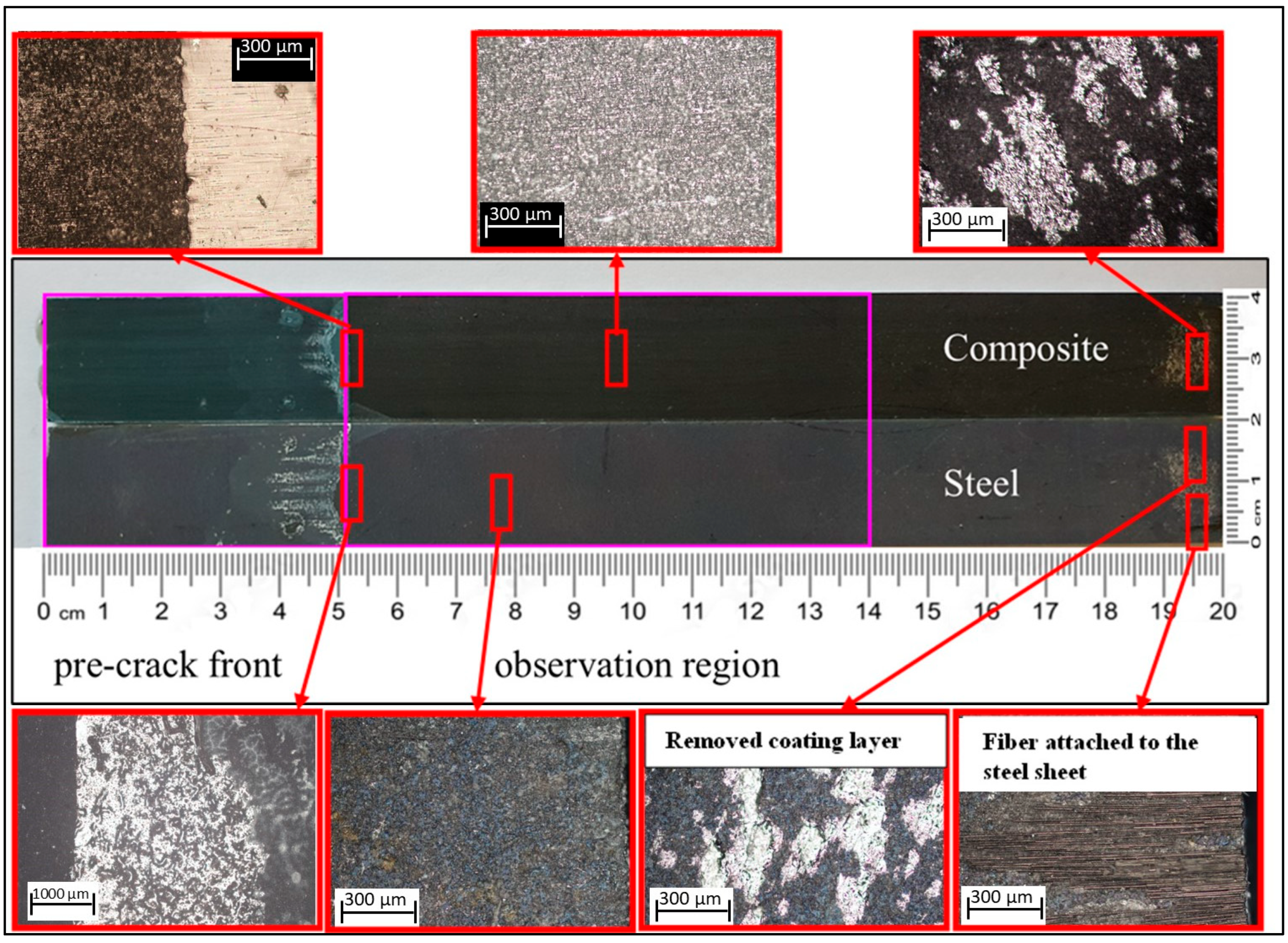 Polymers 17 01689 g013