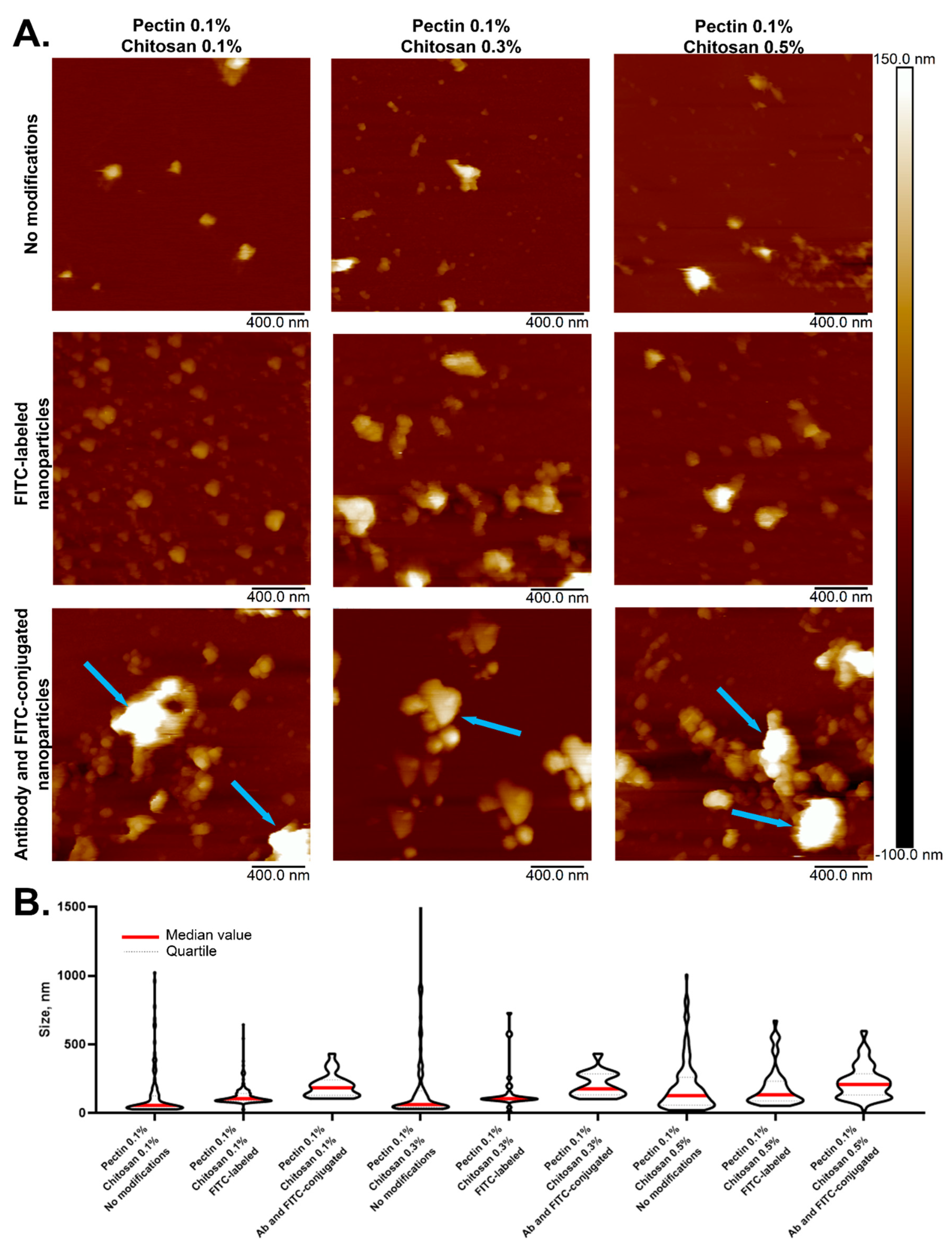 Polymers 17 01690 g002