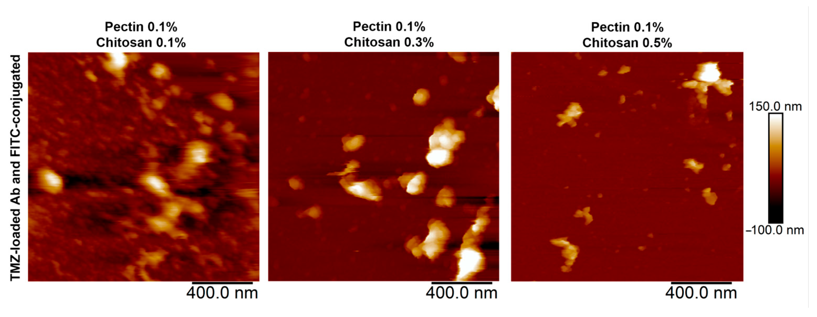 Polymers 17 01690 g007