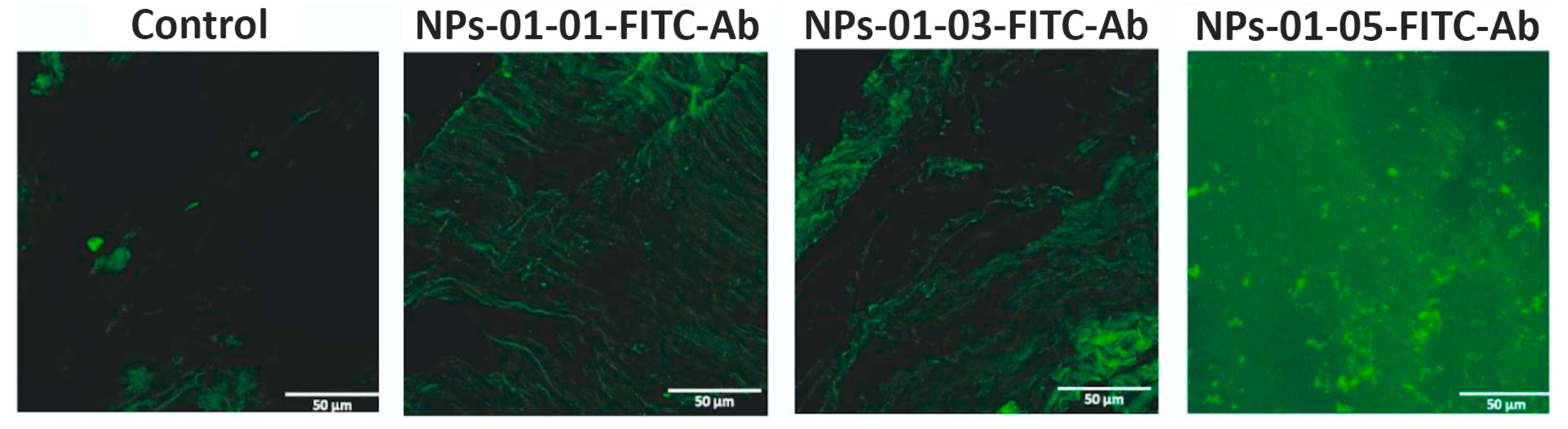 Polymers 17 01690 g011